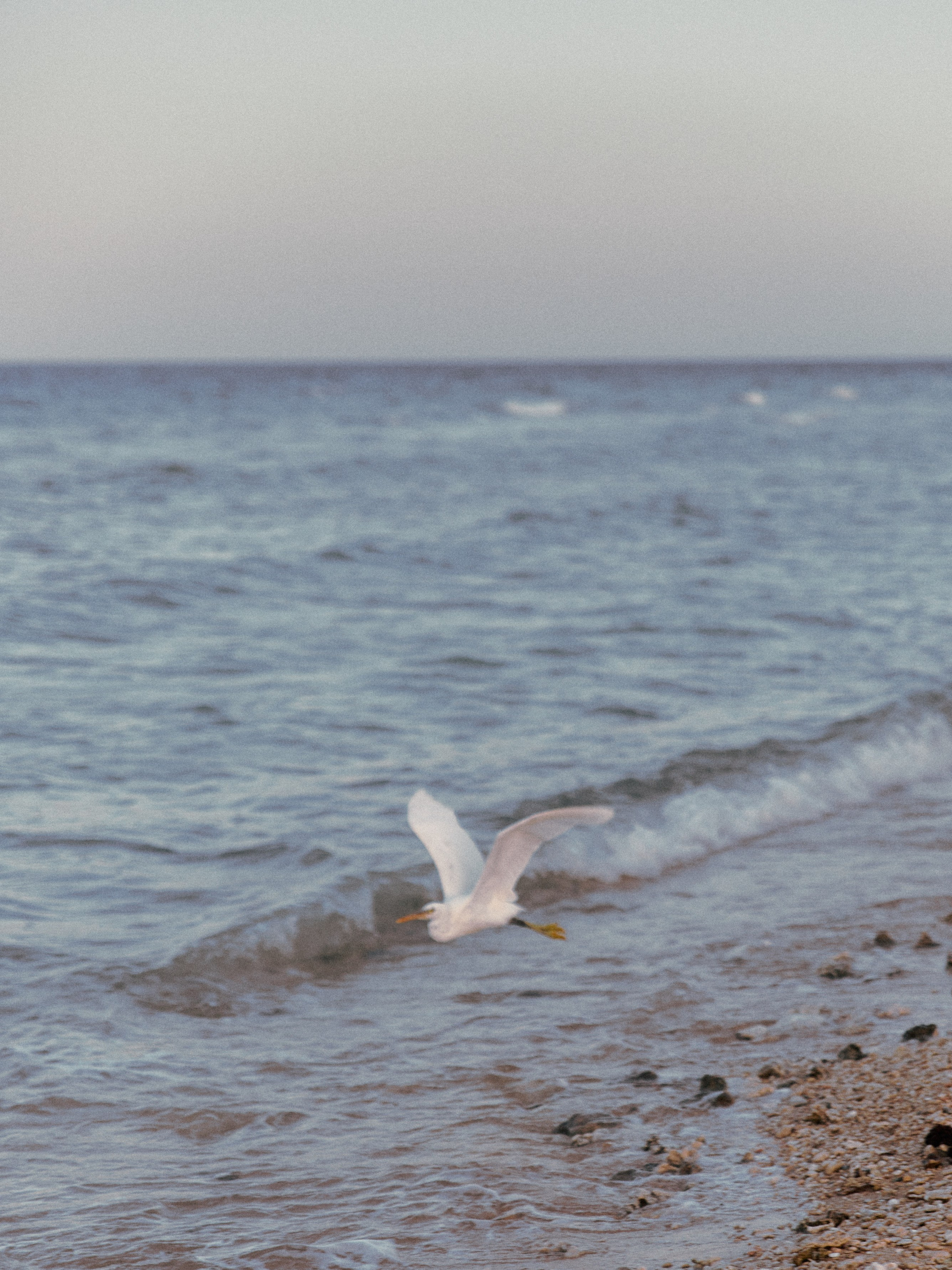 Диптих. Jorgis — фотограф в Хургаде / обучение фотографии