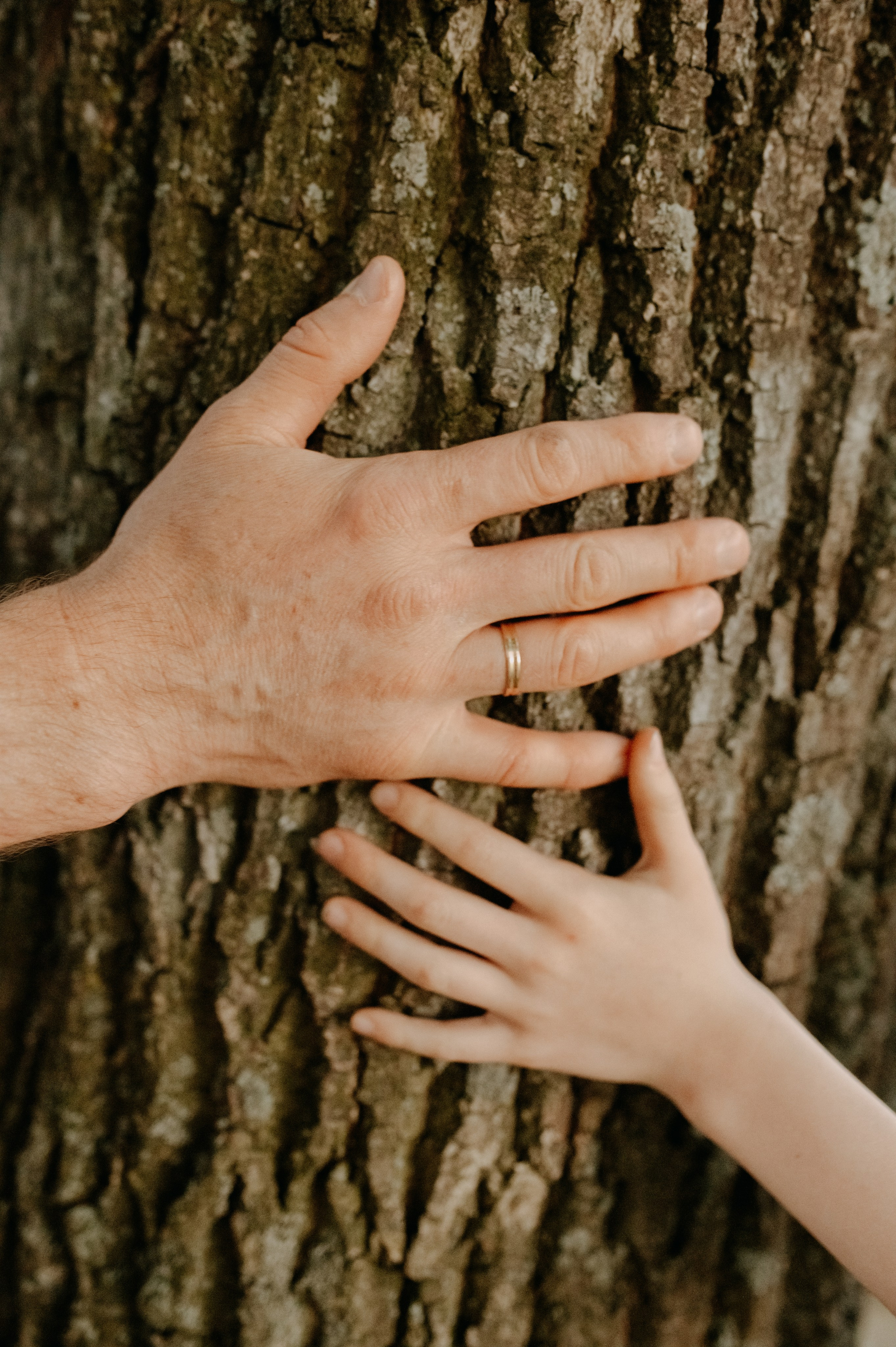 «У меня будет братик!». Семейный и детский фотограф в Туле