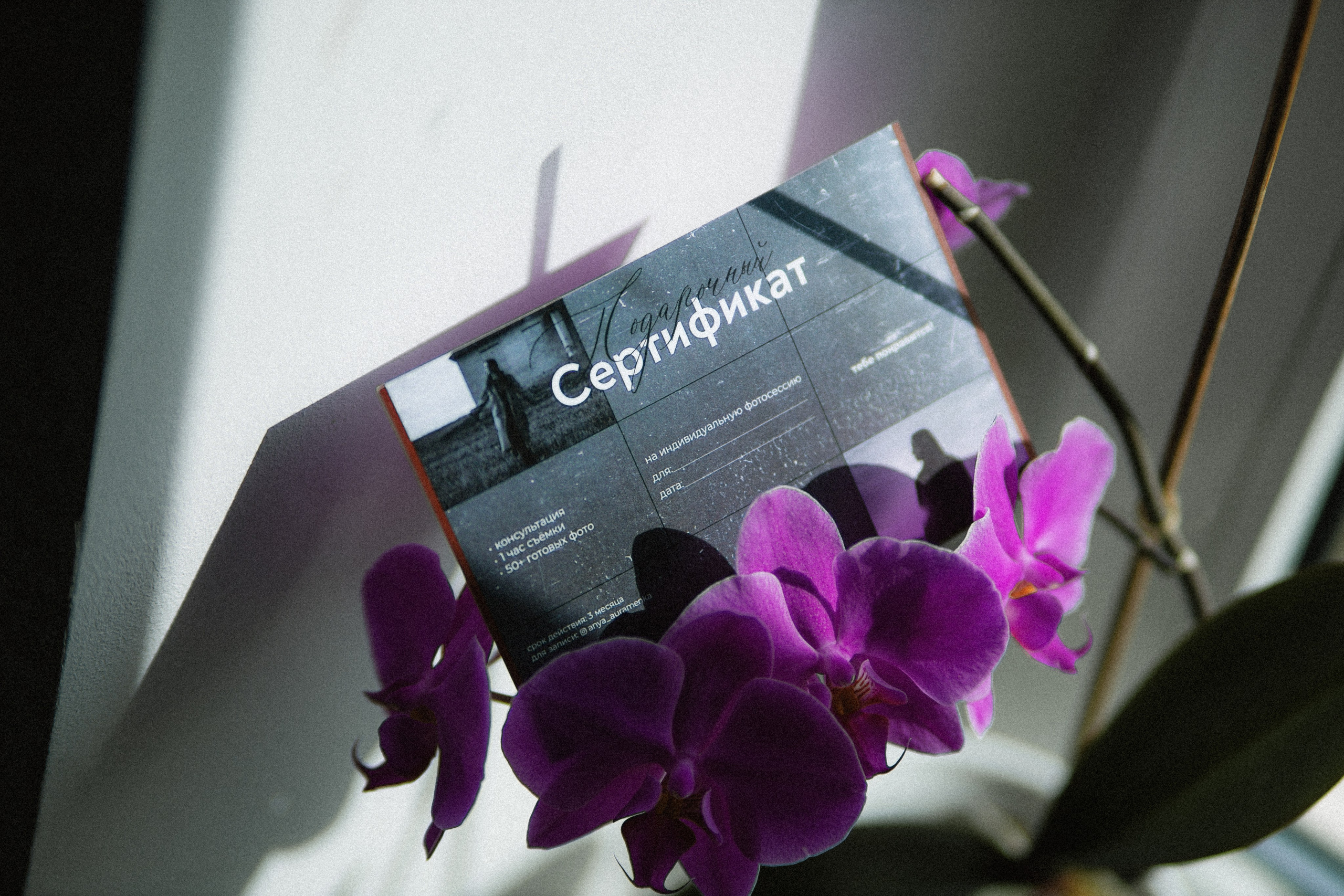 Подарочный сертификат на фотосессию Минск. Фотограф Аня Авраменко в Минске и Беларуси