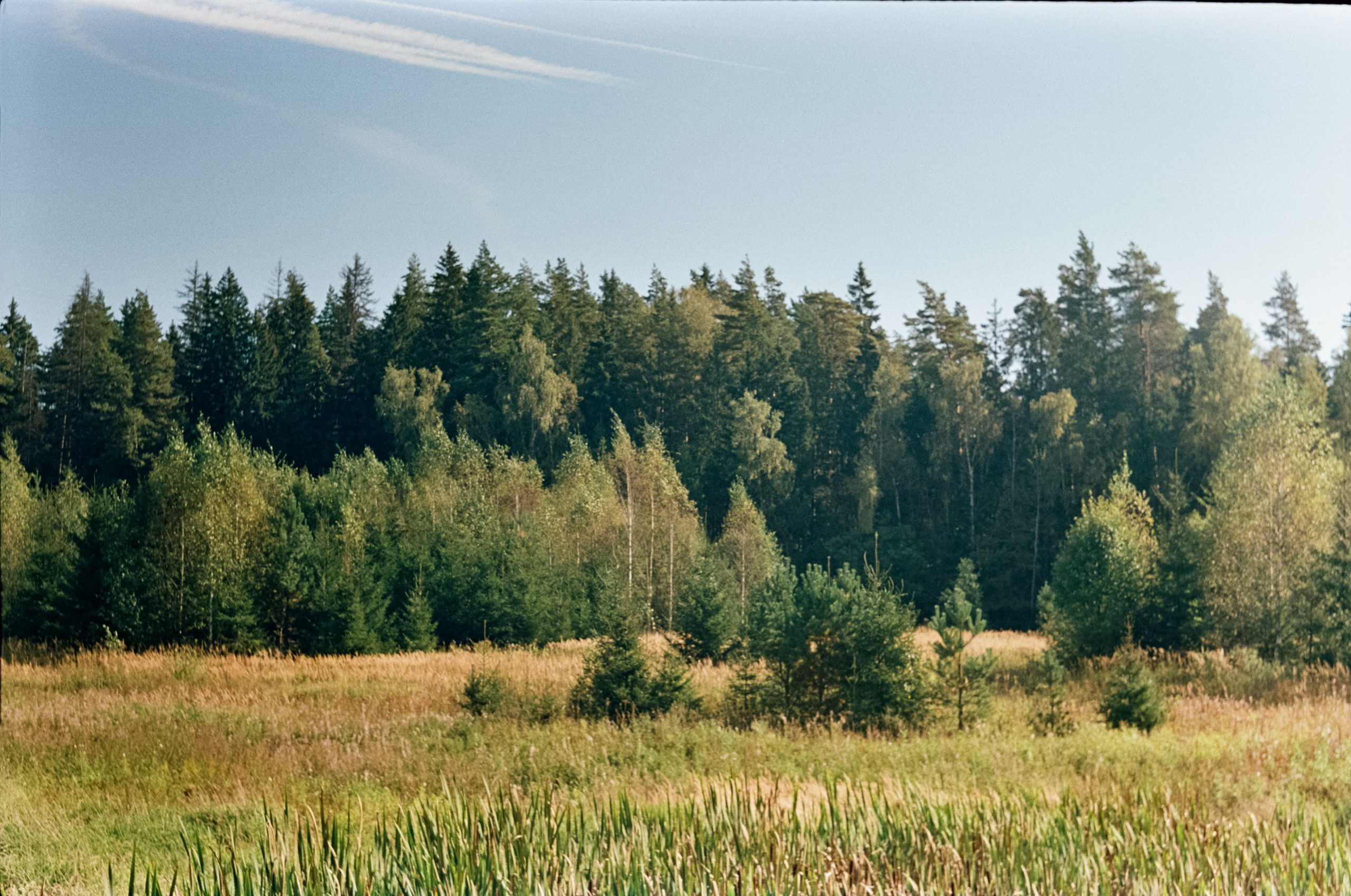 Edixa-MAT REFLEX Mod.D | Carl Zeiss Jena Biotar 58 mm f2 T | SFL 250D