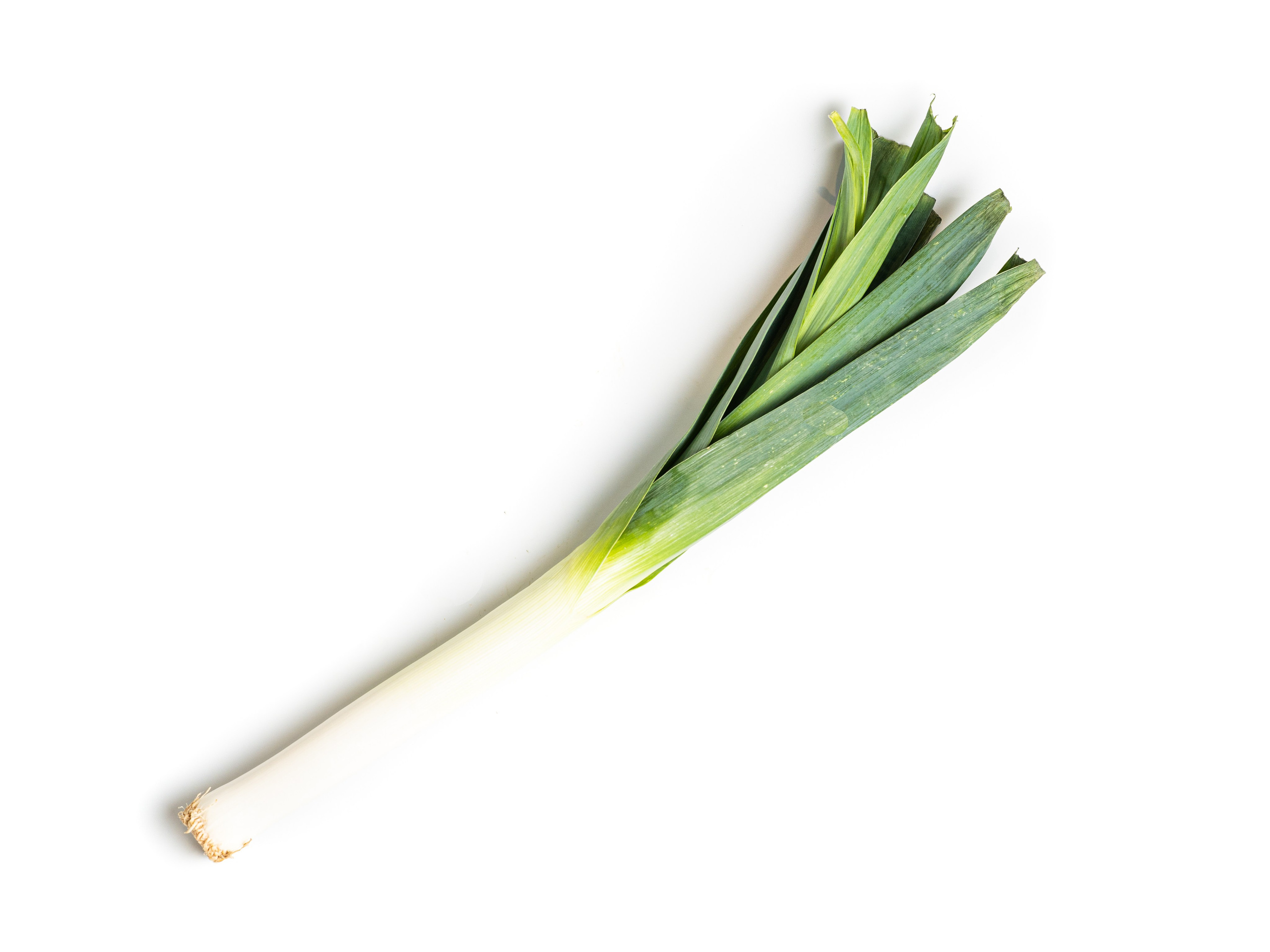 Яндекс Маркет. Предметный и фуд-фотограф в Москве Анна Царенко