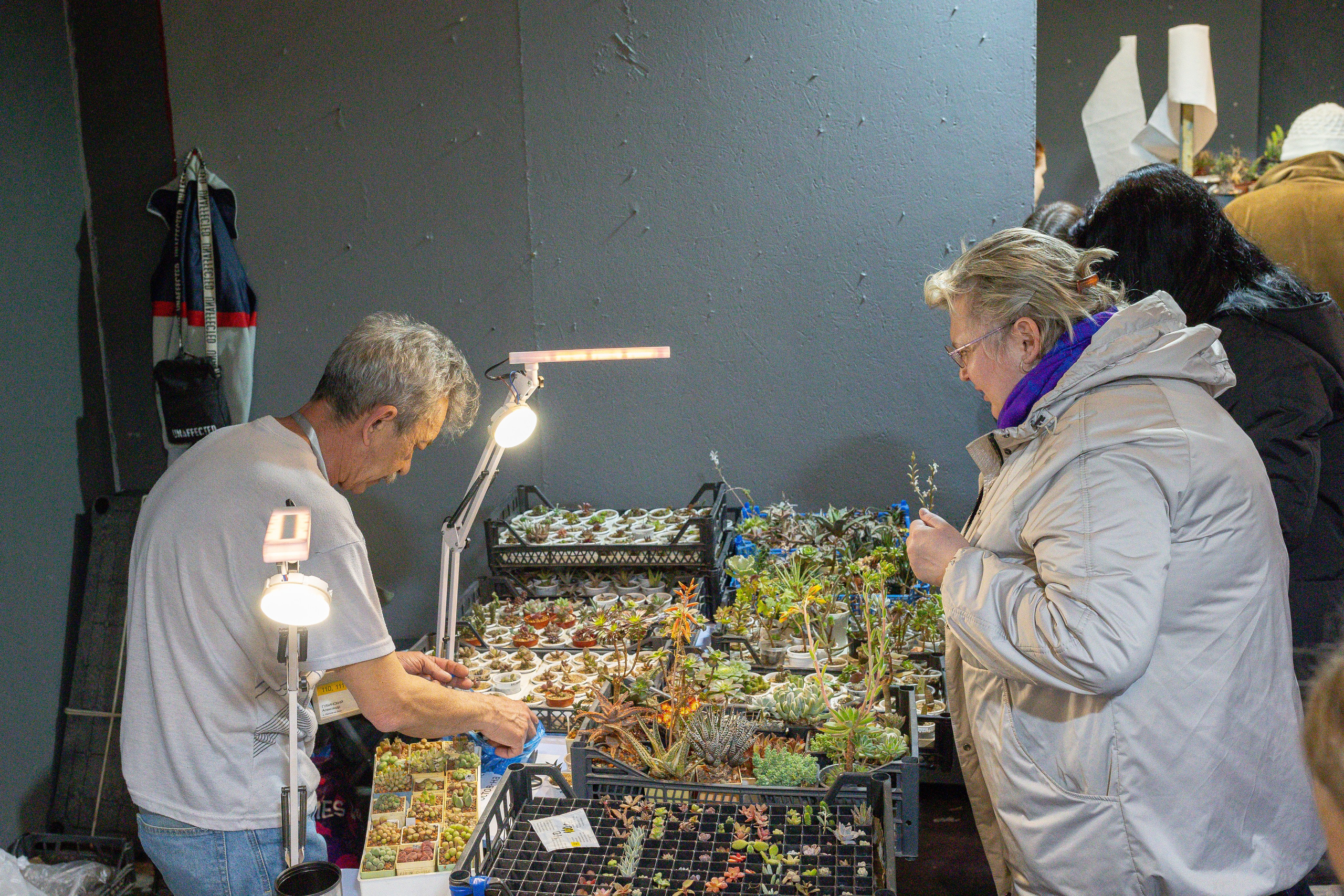 Кактус Фест. Александра Куликова фотограф, Москва