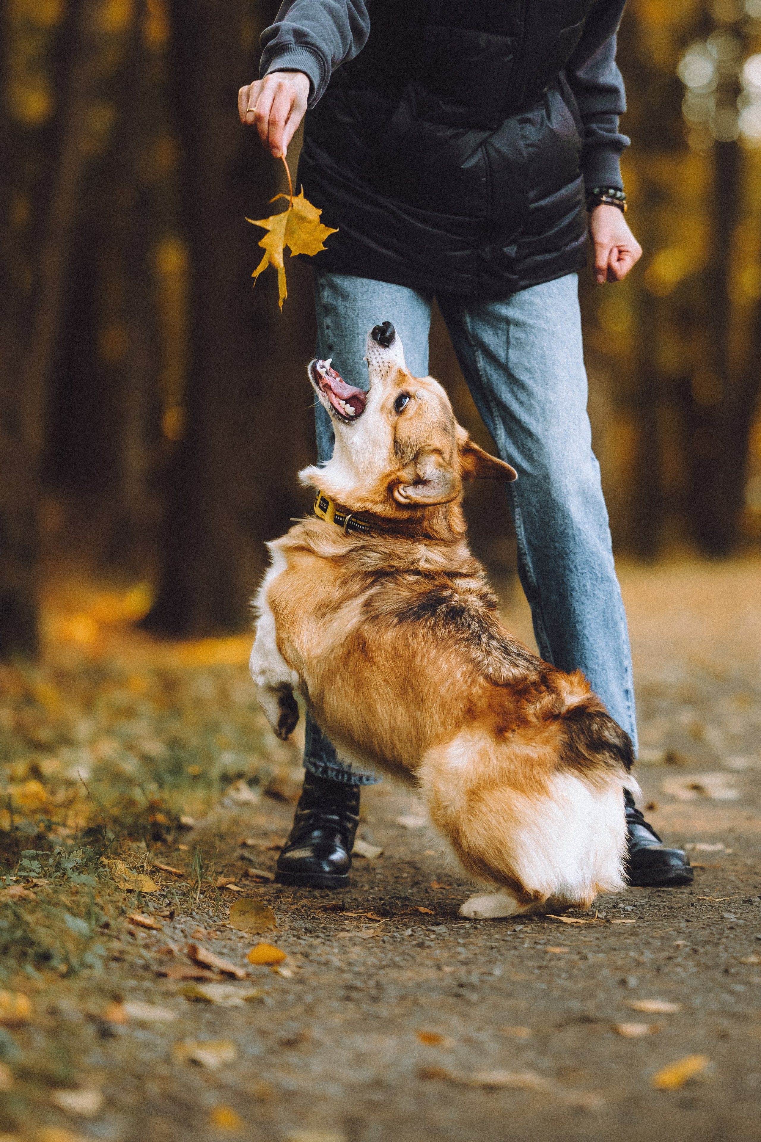 Карина, Даня и Аркаша