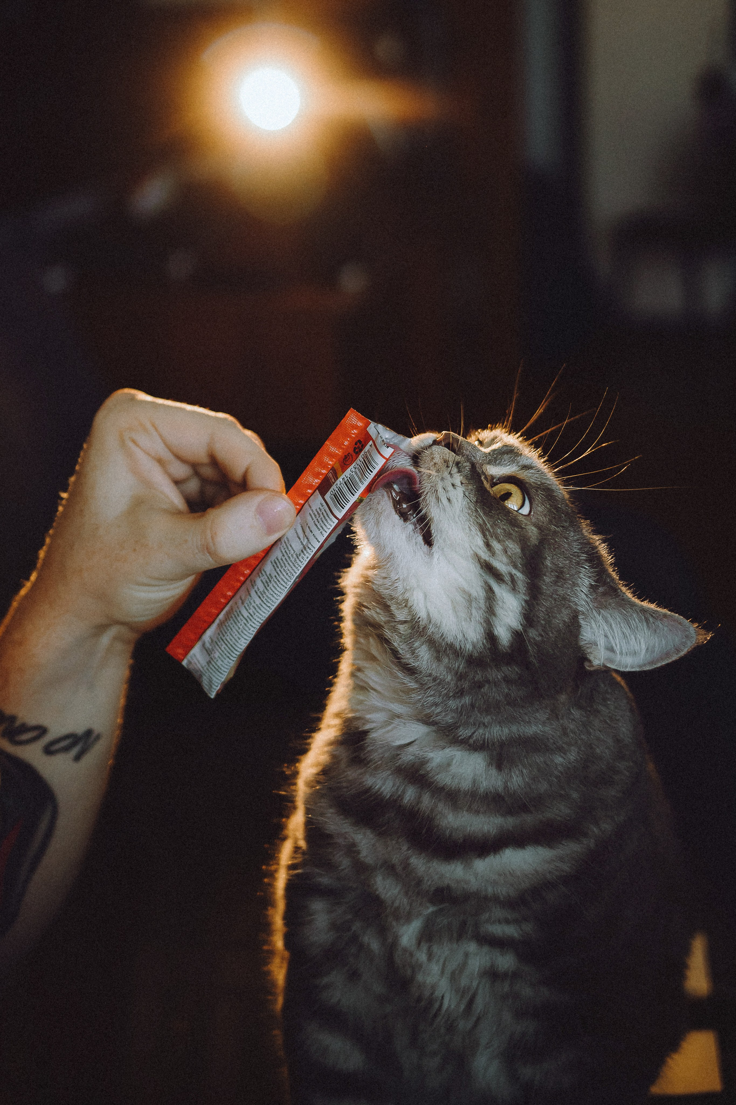 Яся и ее семья