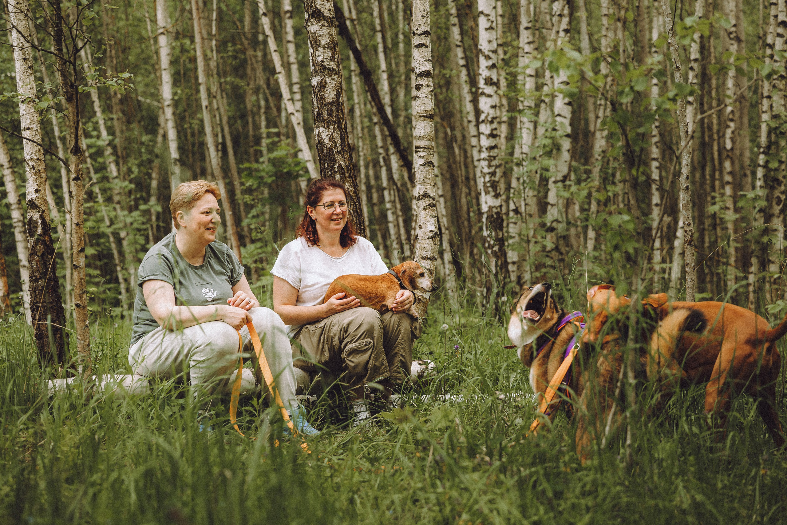 Груша, Данни, Фунтик и их семья