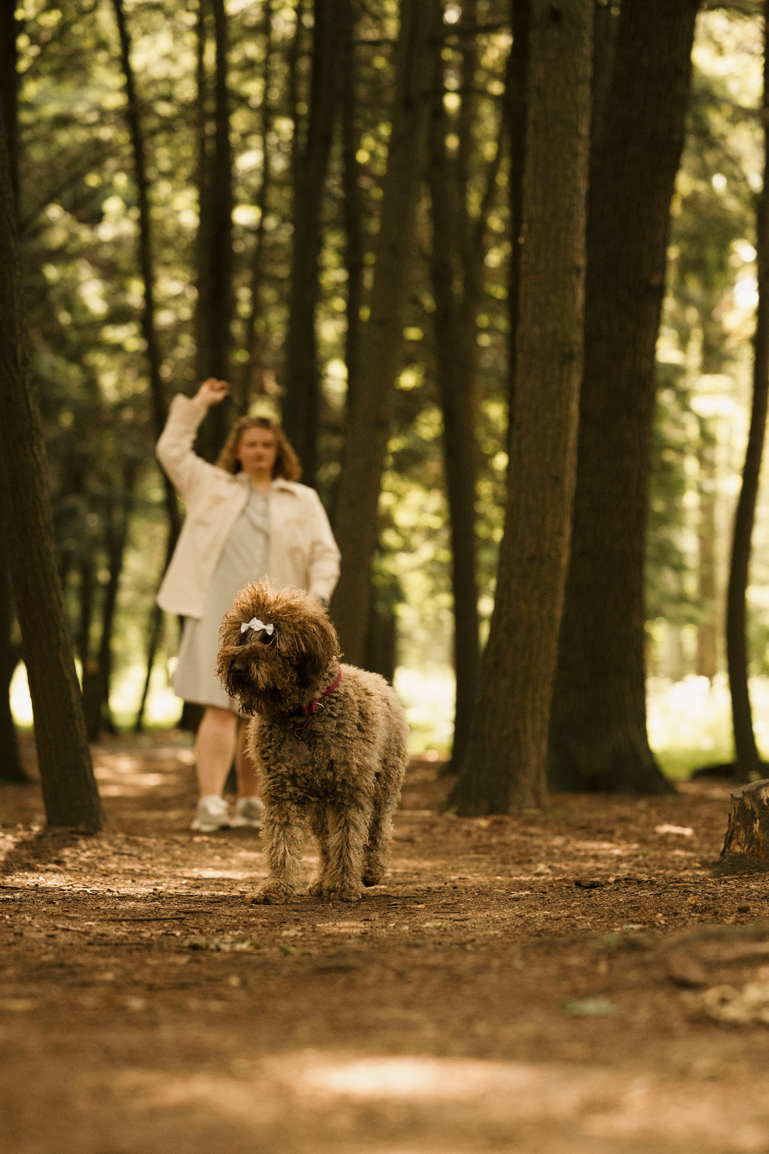 Зизи. Фотограф- анималист Александра Матвеева