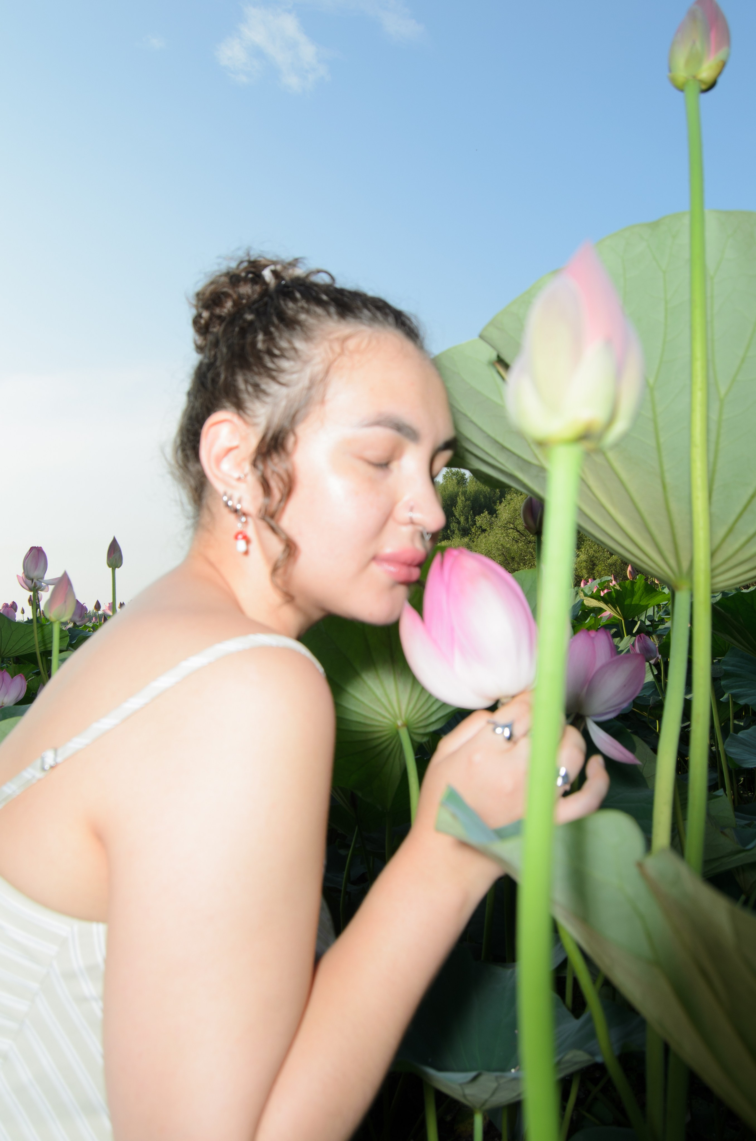 Лотосы. Колентеева Наталья/фотограф