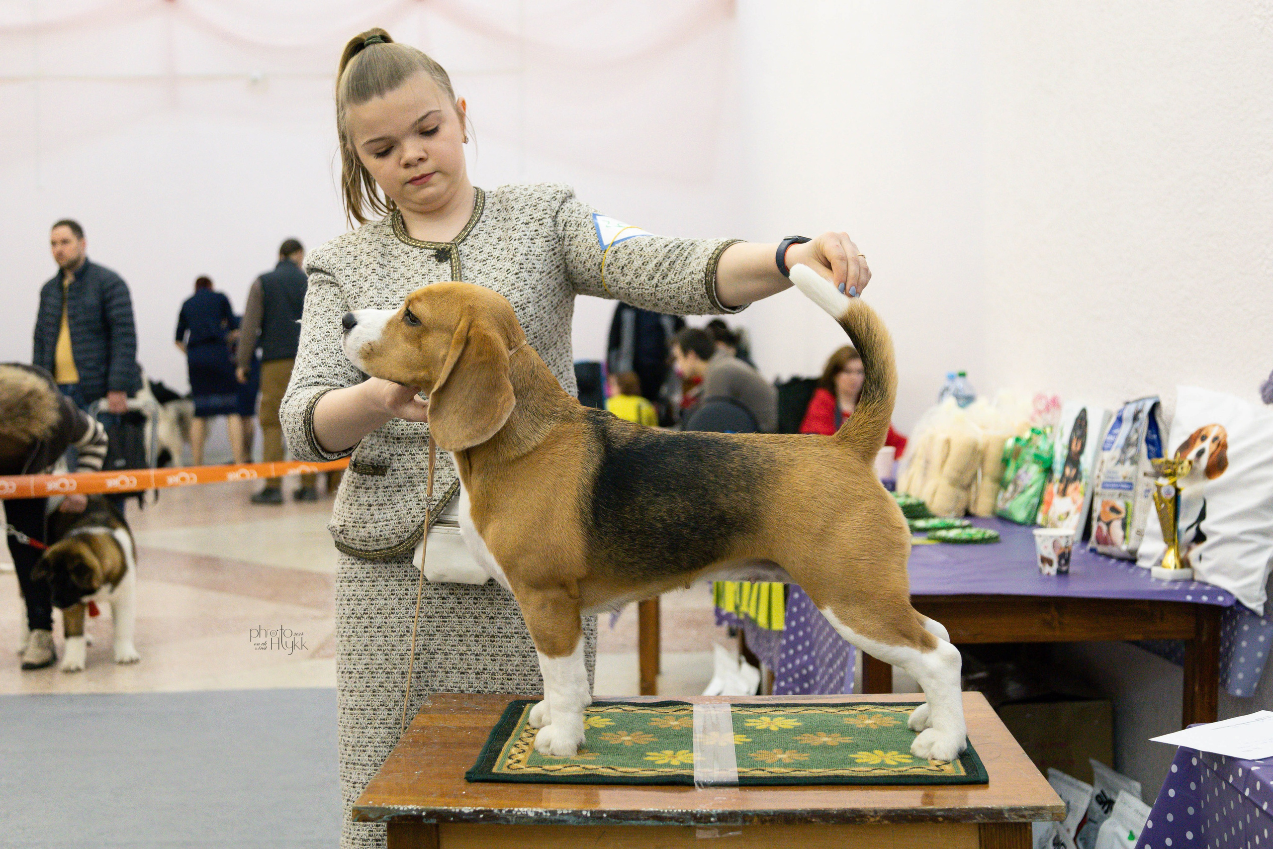 31 марта 2024, Выставка РКФ, г. Пермь. Htykk_photo
