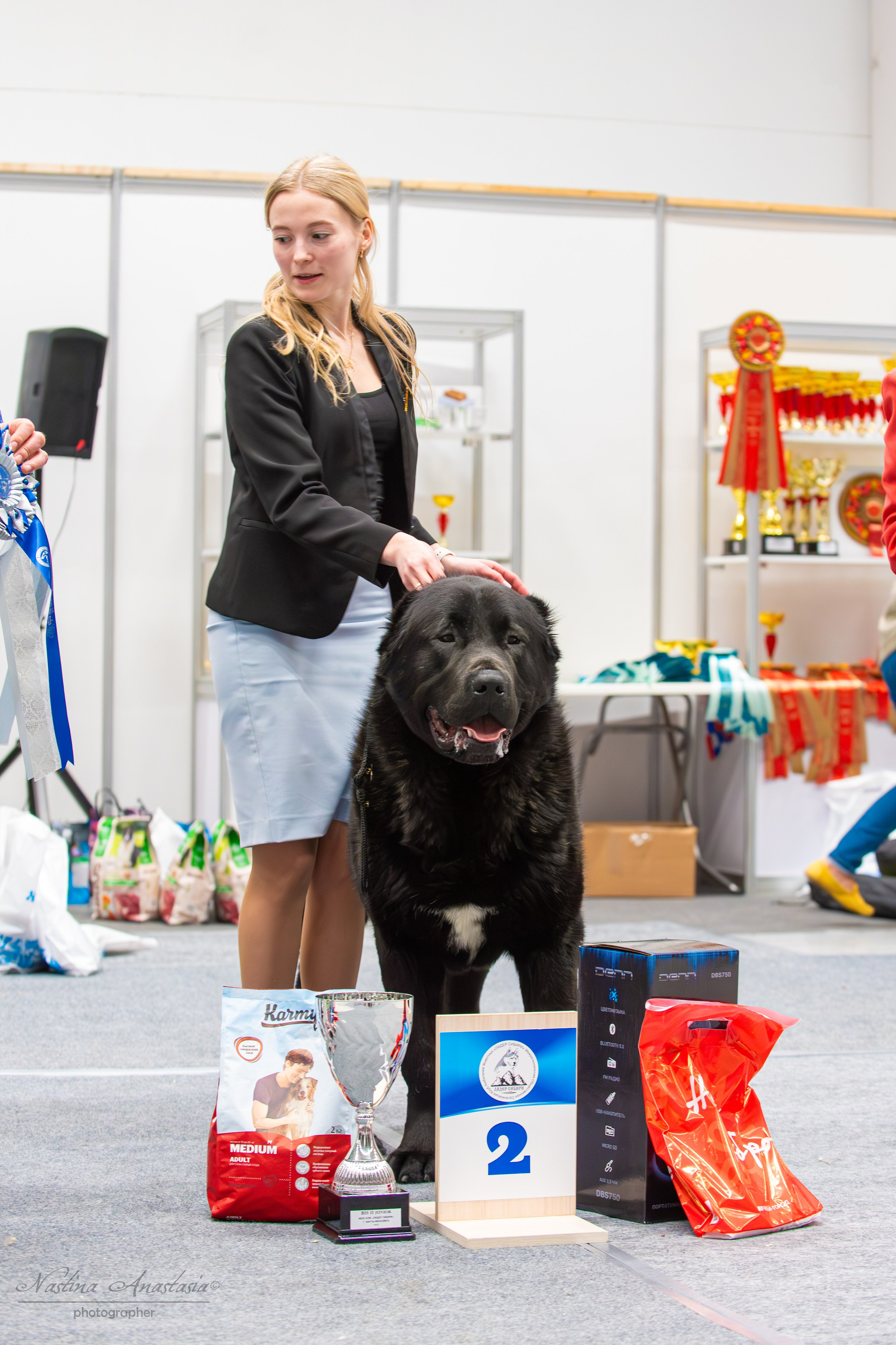 Выставки. Фотограф — Анималист