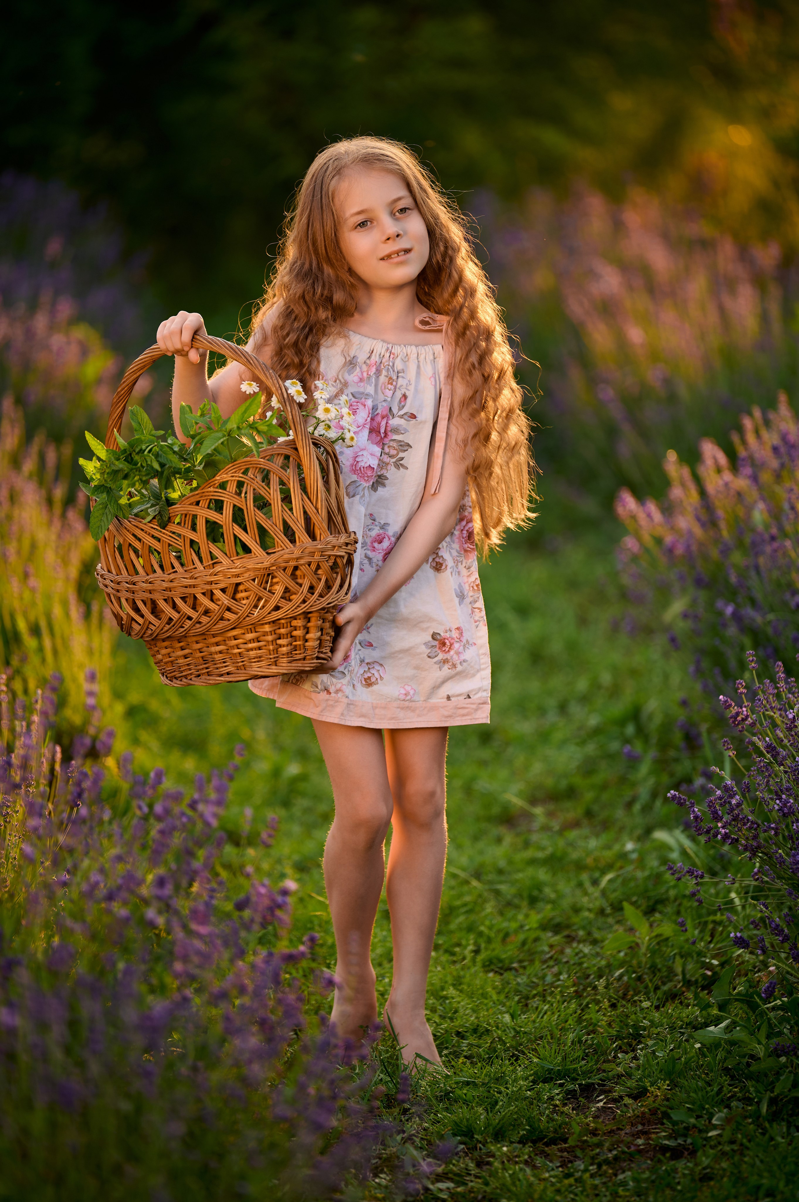 Лаванда на закате. Свадебный, семейный фотограф в Краснодаре