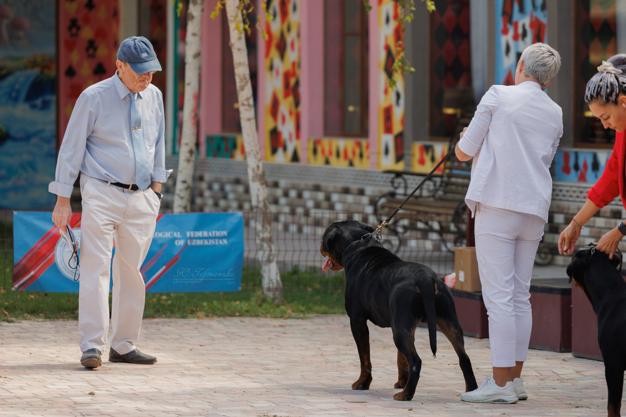 Ташкент 3хCACIB 3-5.10.2025. Фотограф-анималист Юлия Германика