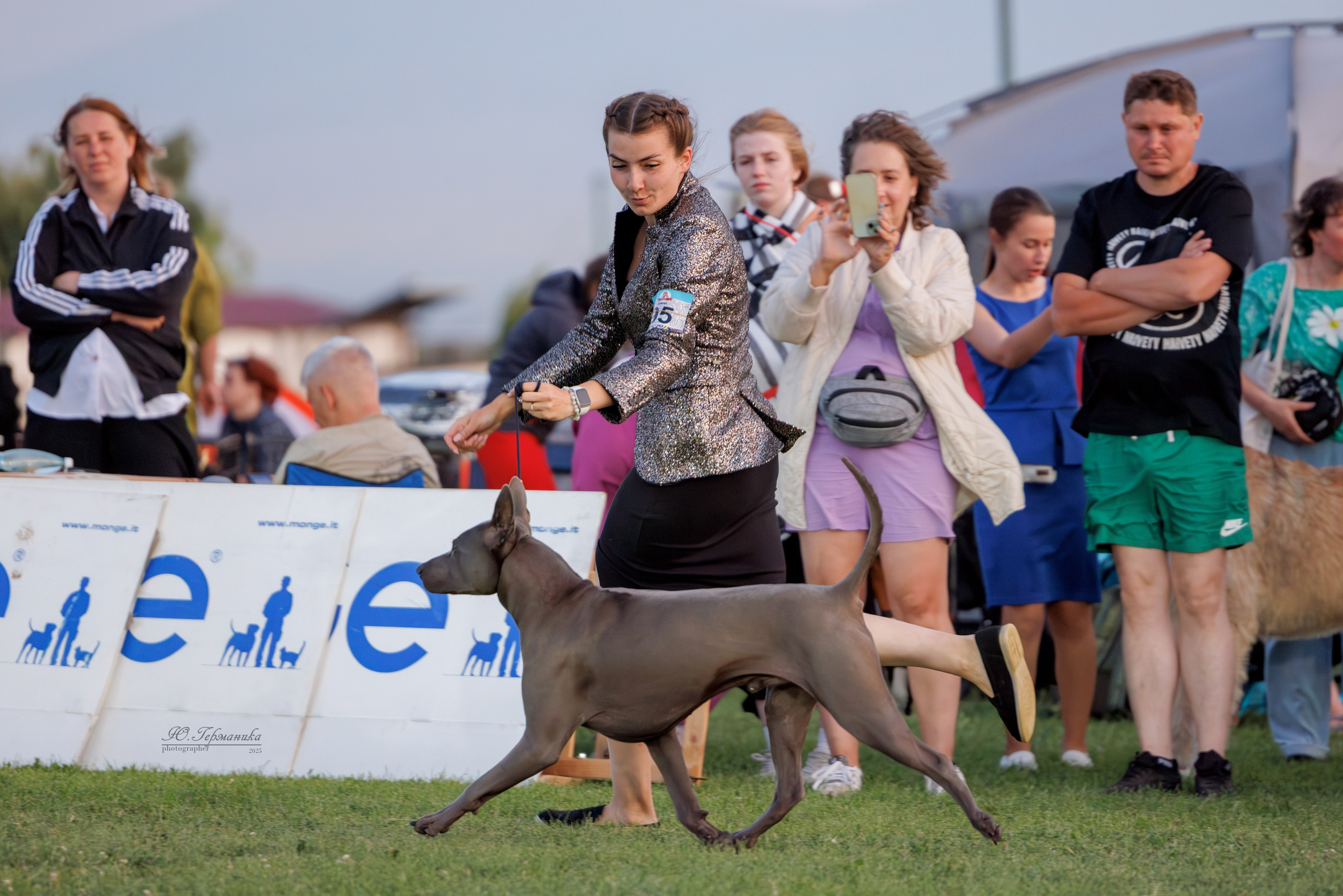 Ереван 3хCACIB 23-25.06.2025. Фотограф-анималист Юлия Германика