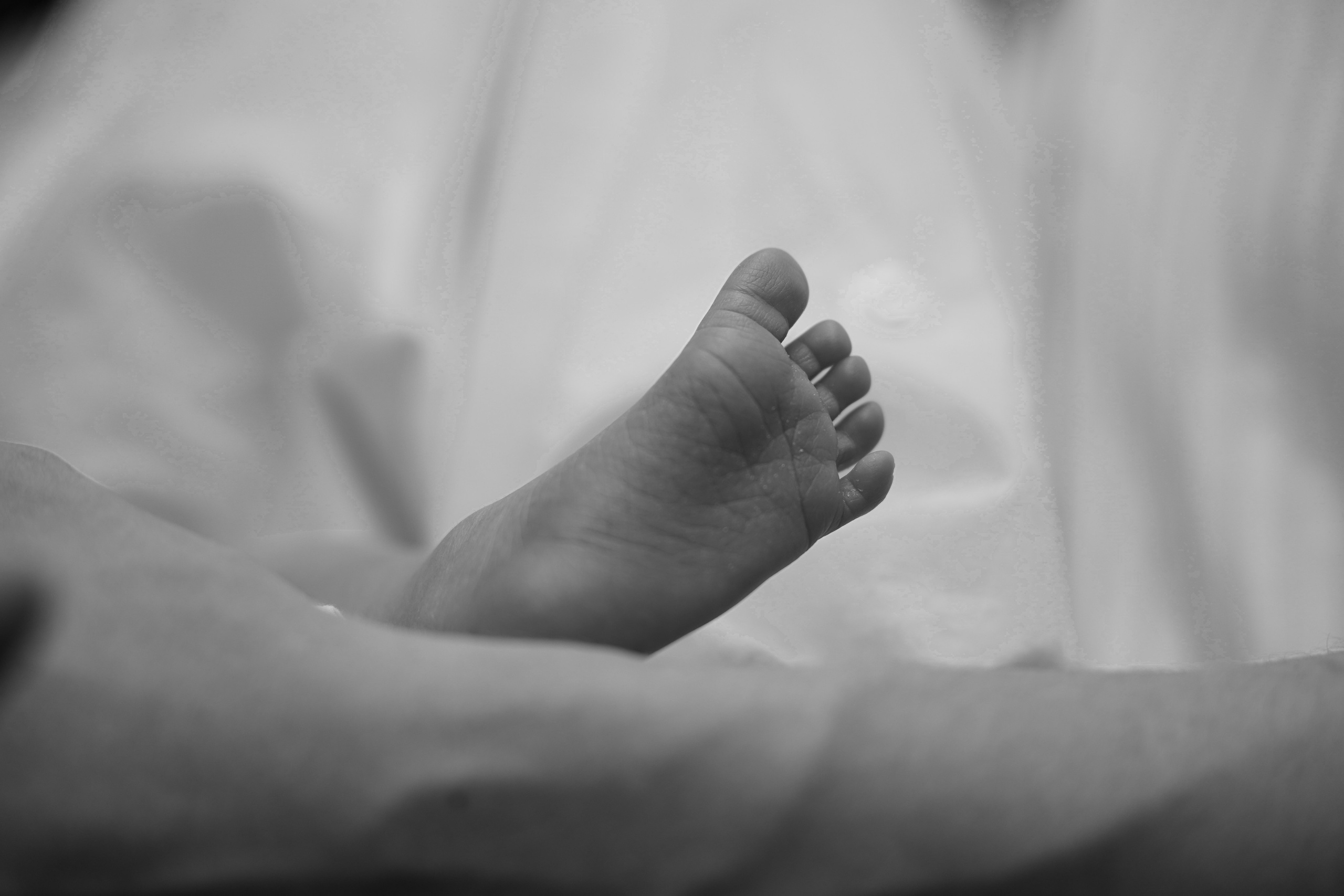 Семейные фотосессии. MEMENTO.Выпускные альбомы, школьные, юбилейные и другие книги. Ростов-на-Дону