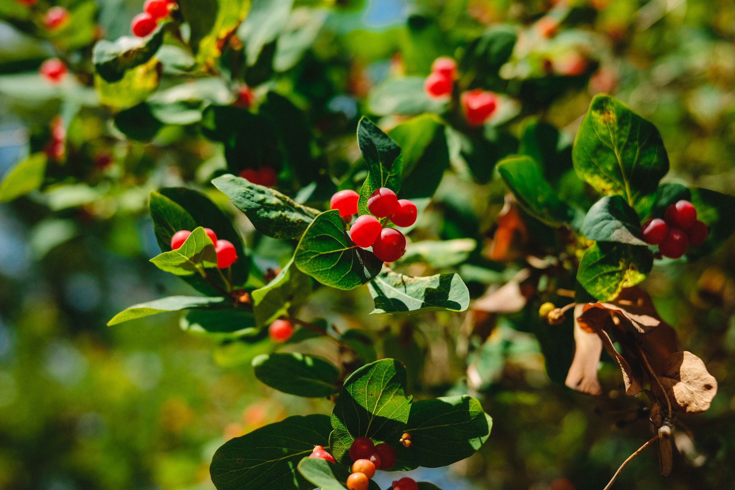 2023.07. Фотограф Алексей Алексеев
