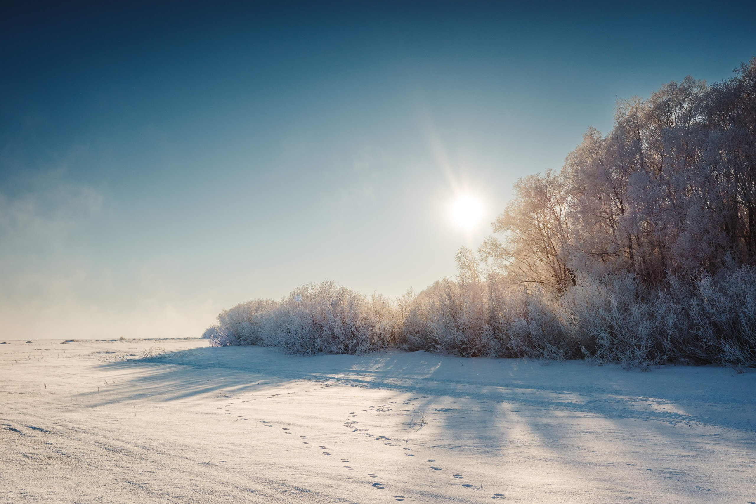 2024.01. Фотограф Алексей Алексеев