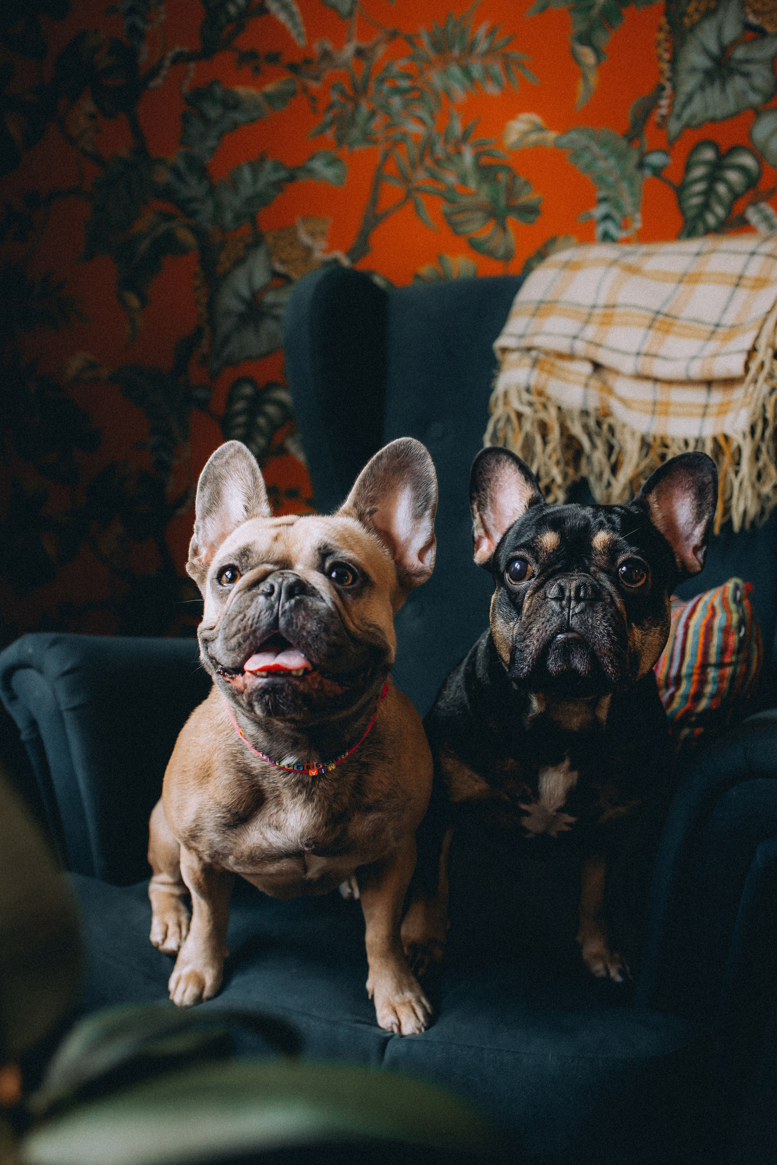 Юля, Мия и Зек