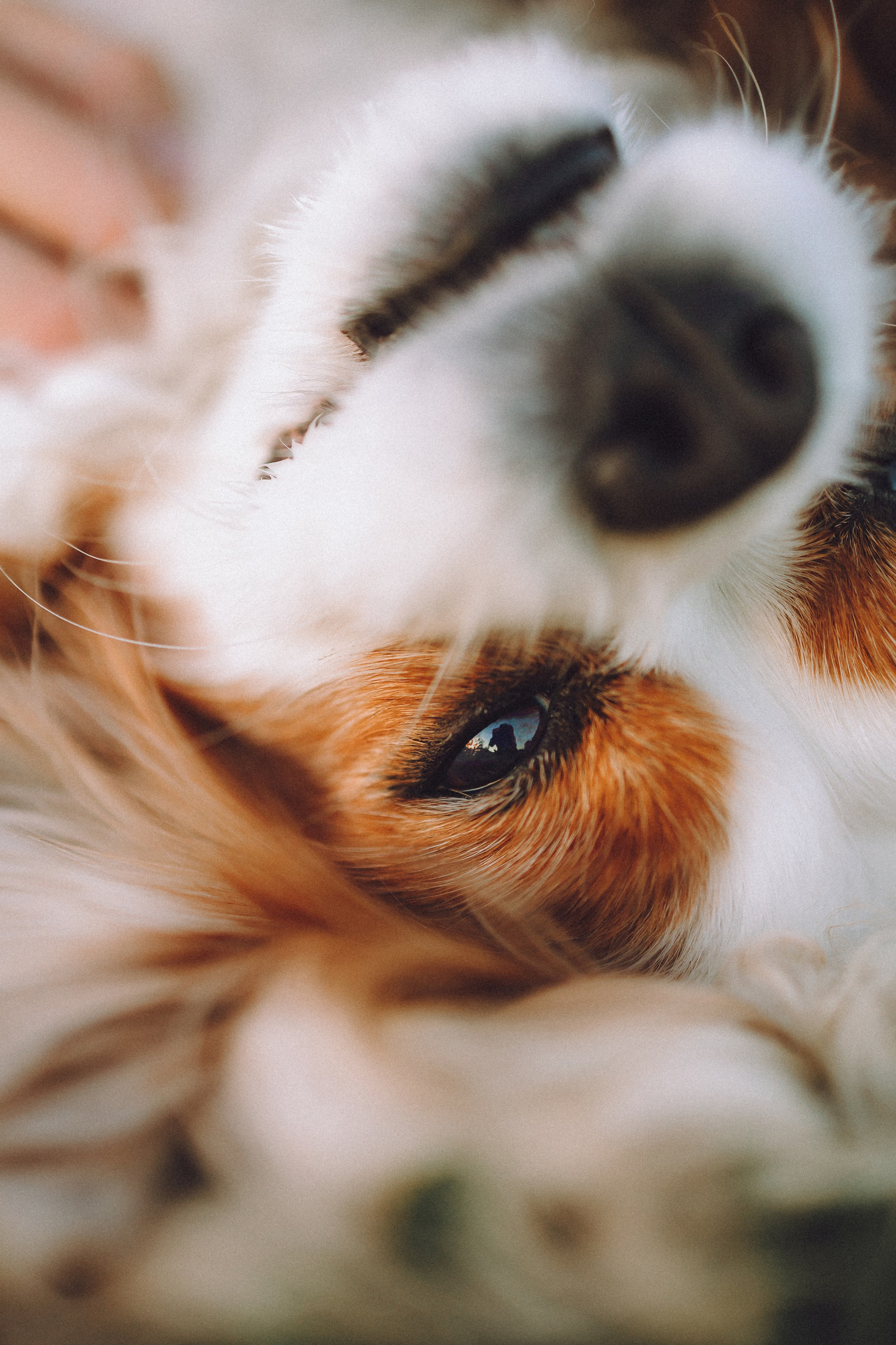 Наташа и Вики