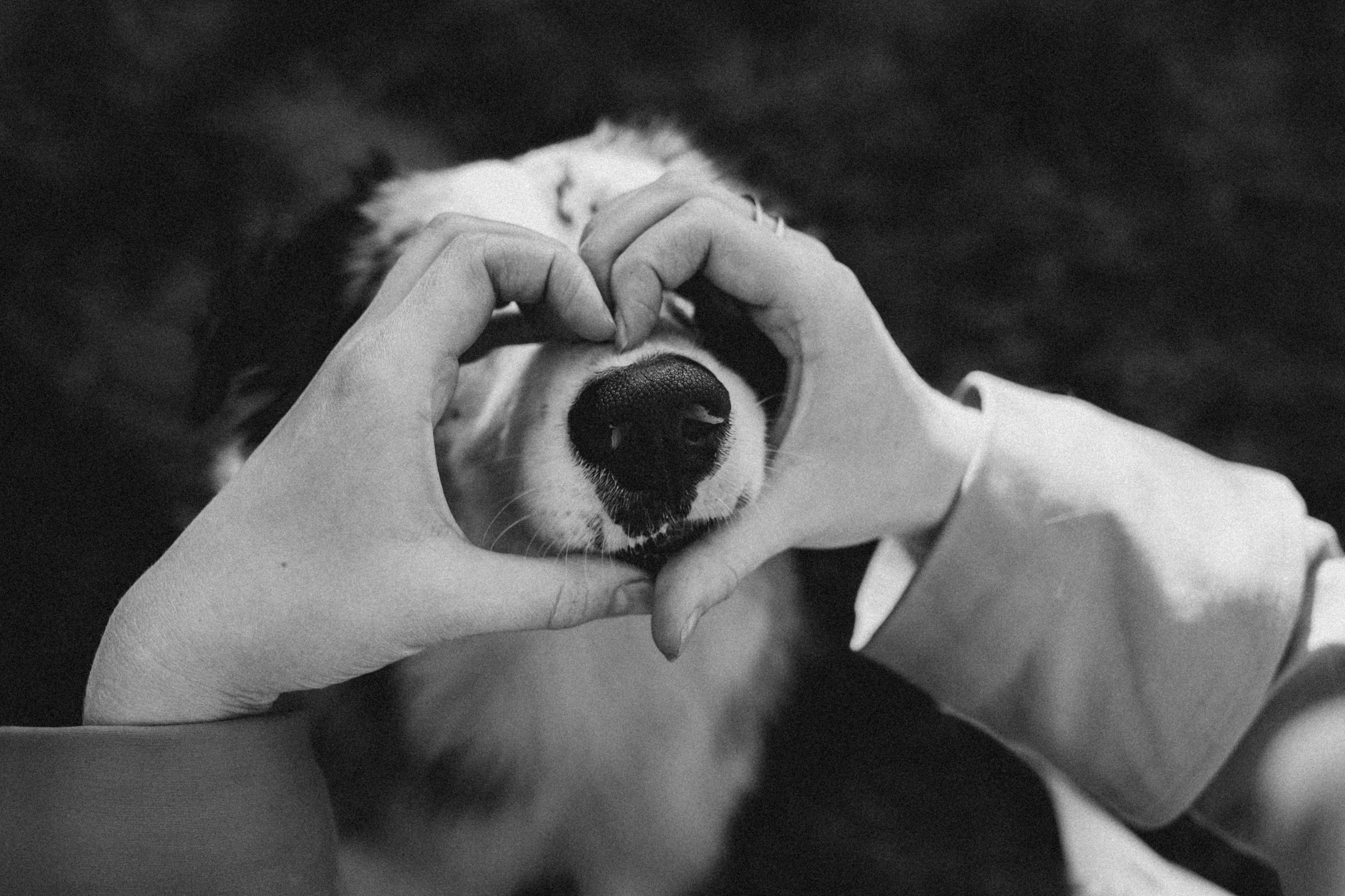 Саша, Рома и Один