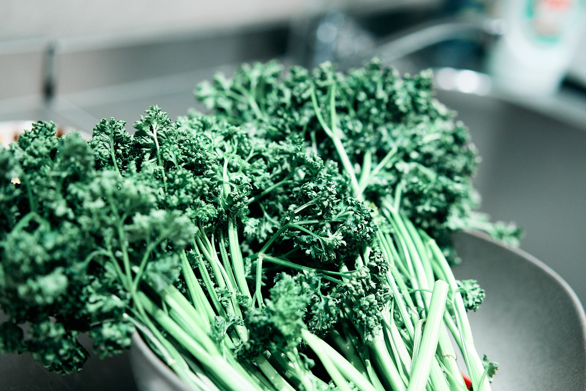 ČIOP ČIOP Kaunas. Photographer in Vilnius