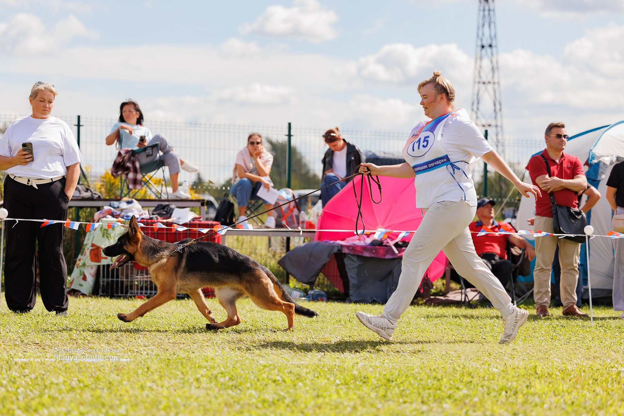 Немецкие овчарки: фото из рингов и вне ринга, мутпроба (фотографии с выставок). Фотограф собак, фотограф-анималист Аня Титова (Titanya). Москва