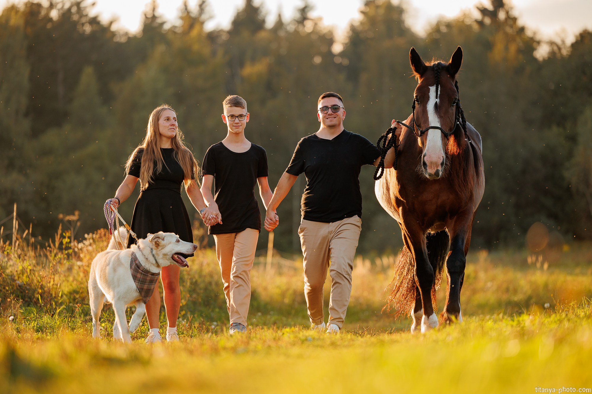 Закатная семейная фотосессия: про Настю и её дружную семью. Фотограф собак, фотограф-анималист Аня Титова (Titanya). Москва