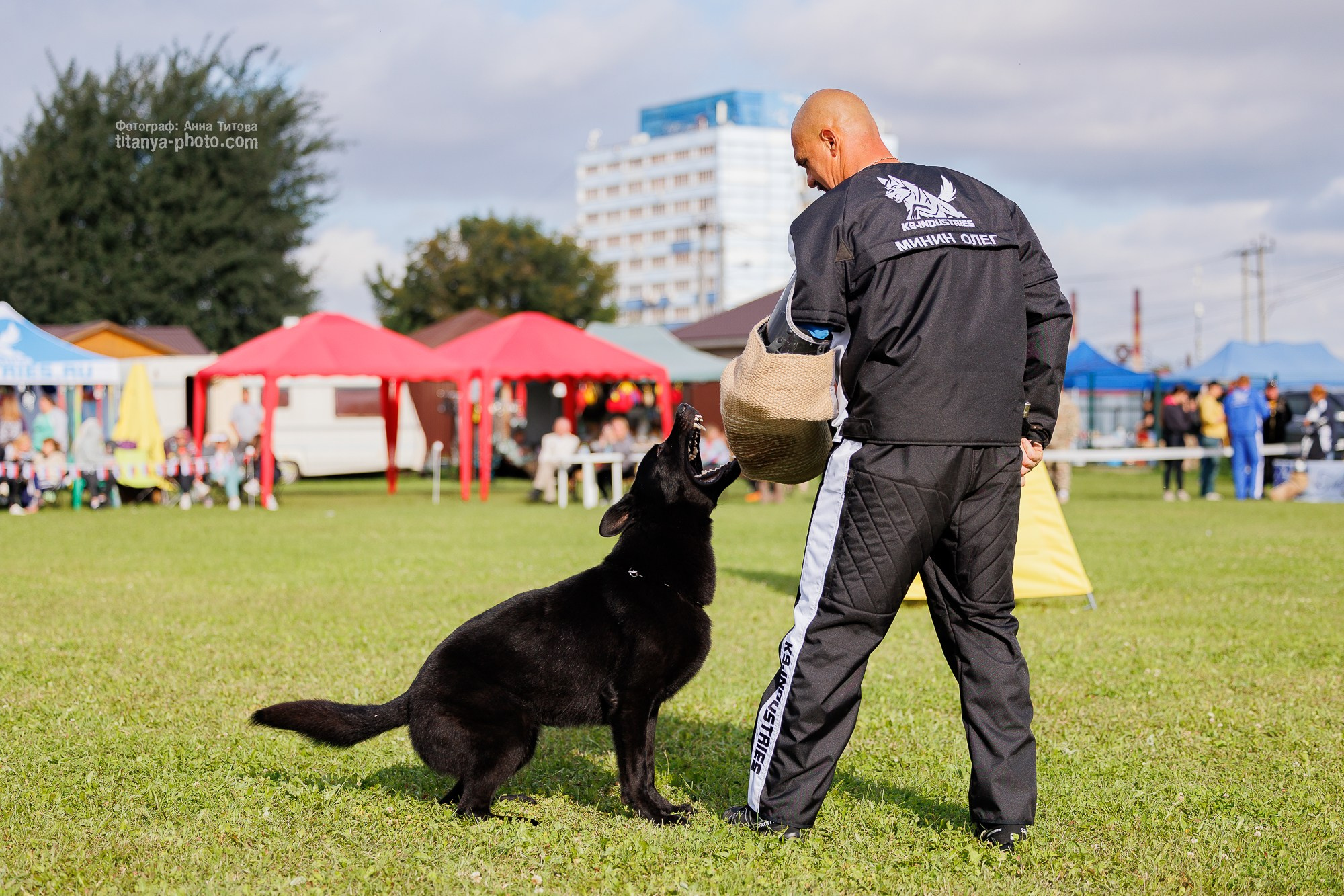 Немецкие овчарки: фото из рингов и вне ринга, мутпроба (фотографии с выставок). Фотограф собак, фотограф-анималист Аня Титова (Titanya). Москва