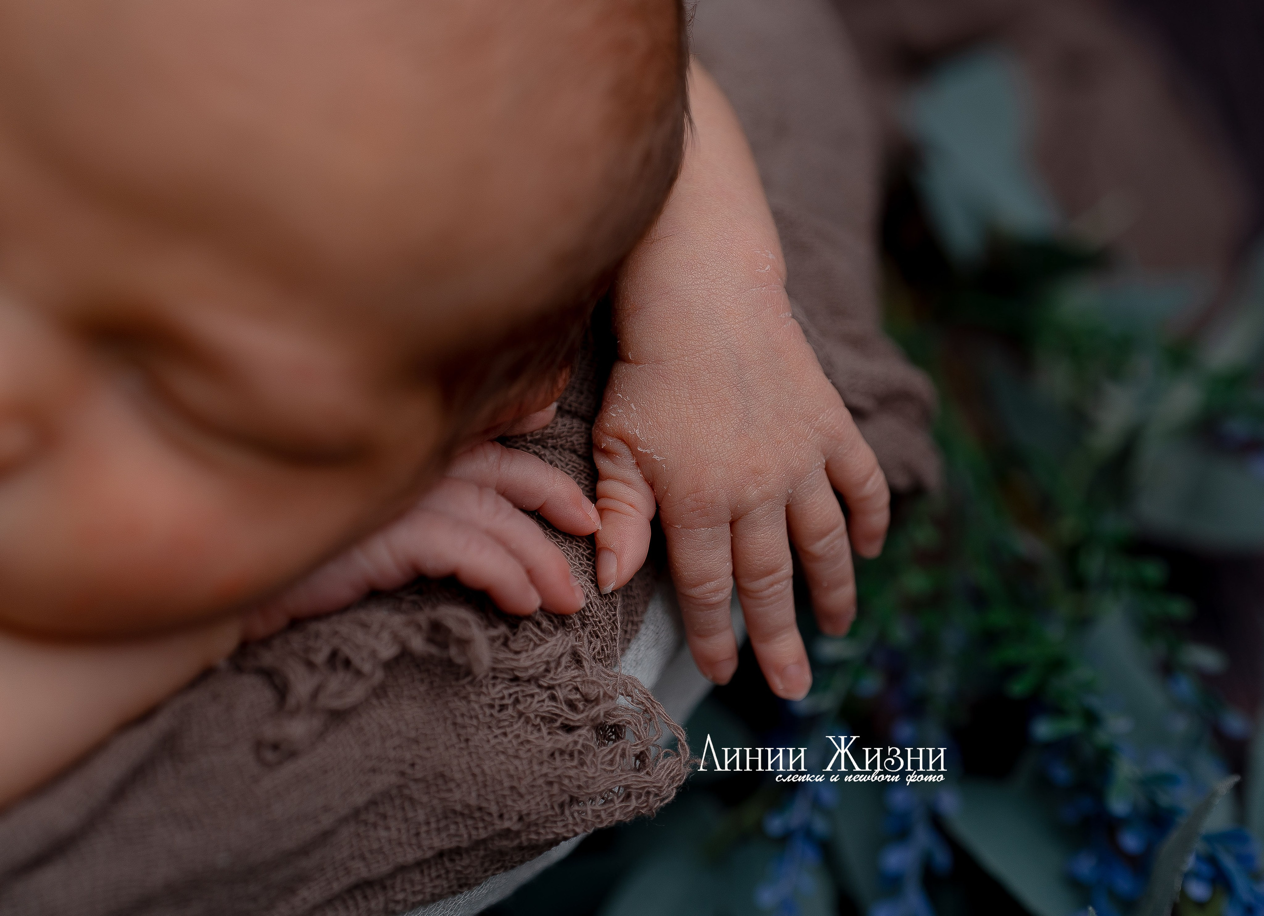 Тимофей 9 дней. Фотограф новорожденных в Нижнем Новгороде Сергеева Оксана