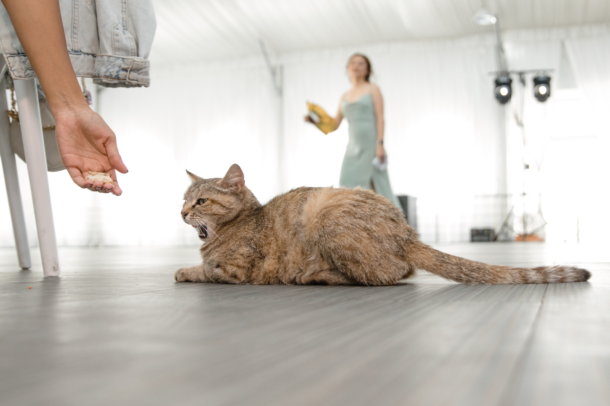 Анонс свадьбы Вячеслав и Анастасия. Свадебный фотограф в Алматы Николай Киреев