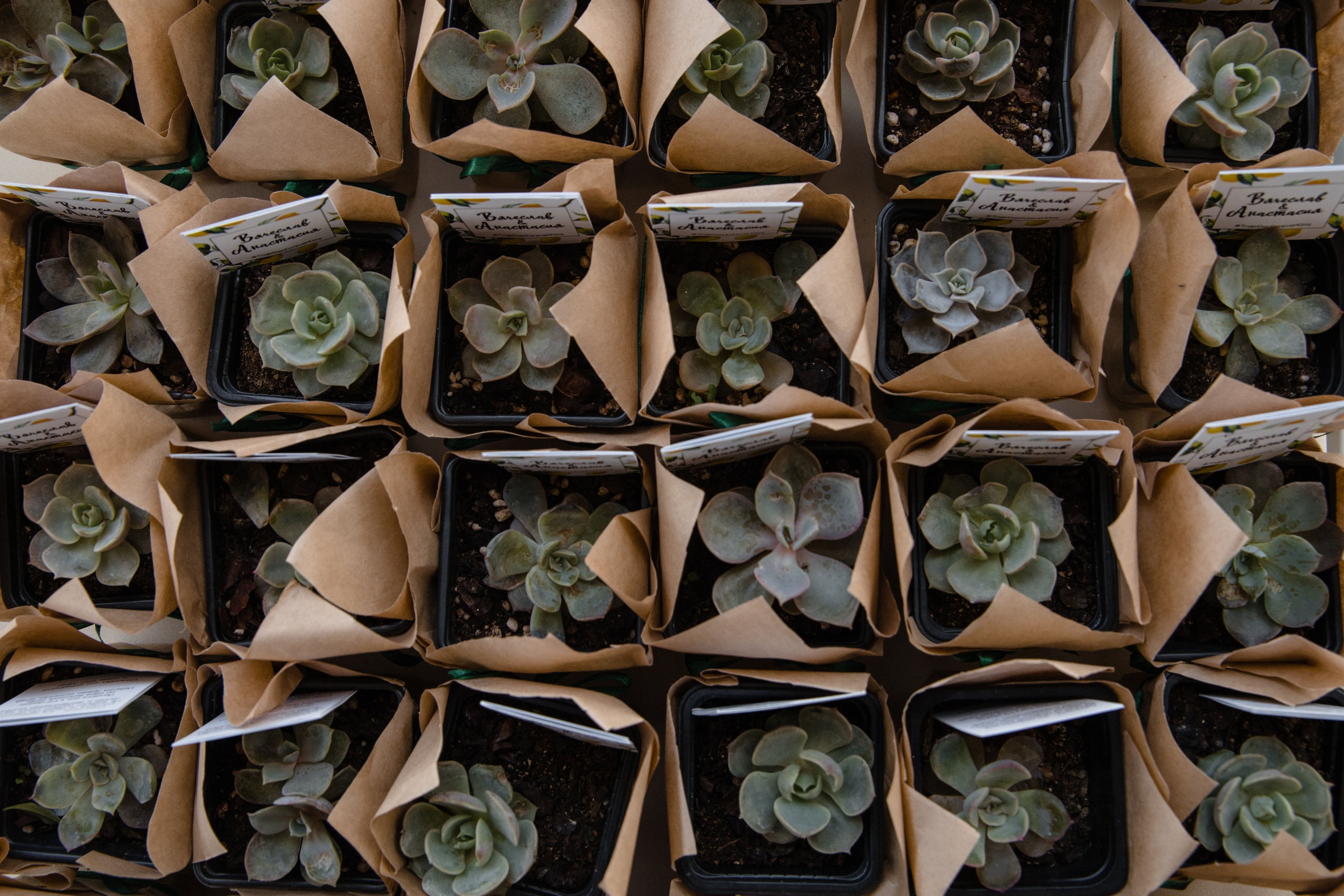 Анонс свадьбы Вячеслав и Анастасия. Свадебный фотограф в Алматы Николай Киреев