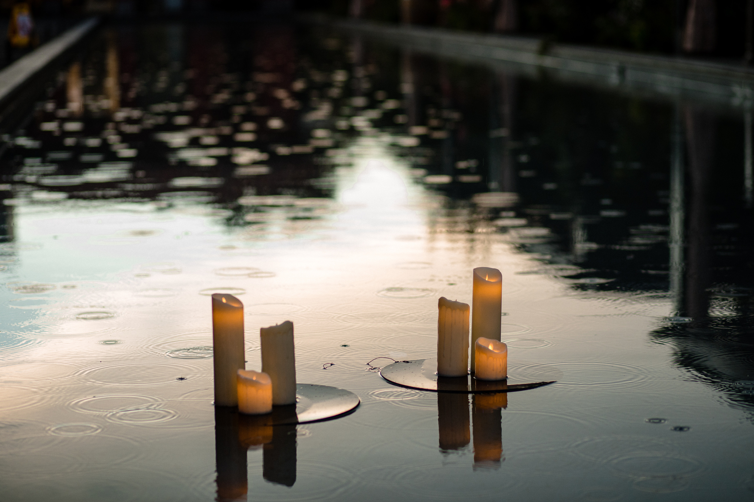Анонс со свадьбы Алексей и Александра. Свадебный фотограф в Алматы Николай Киреев
