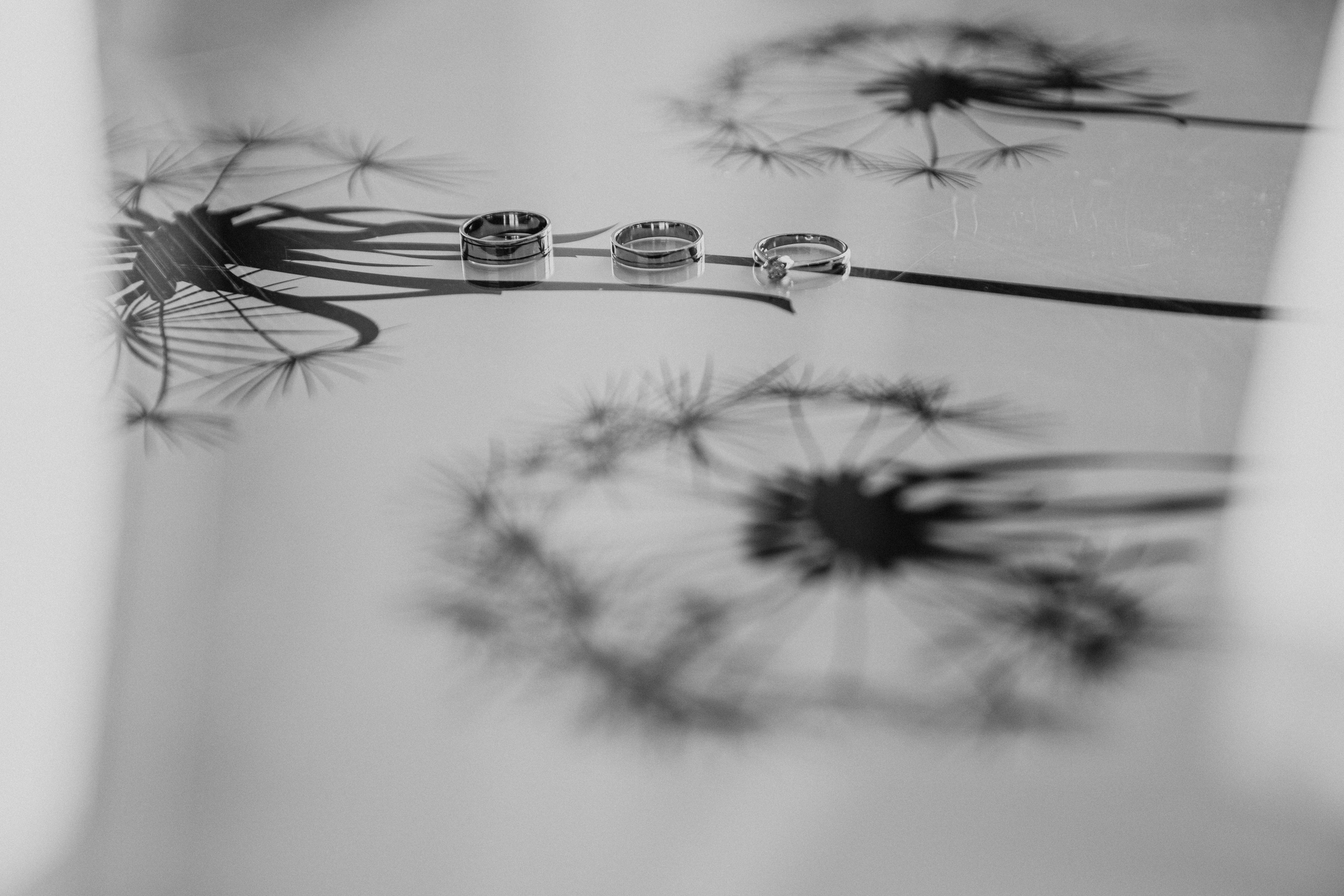 Анонс свадьбы Вячеслав и Анастасия. Свадебный фотограф в Алматы Николай Киреев