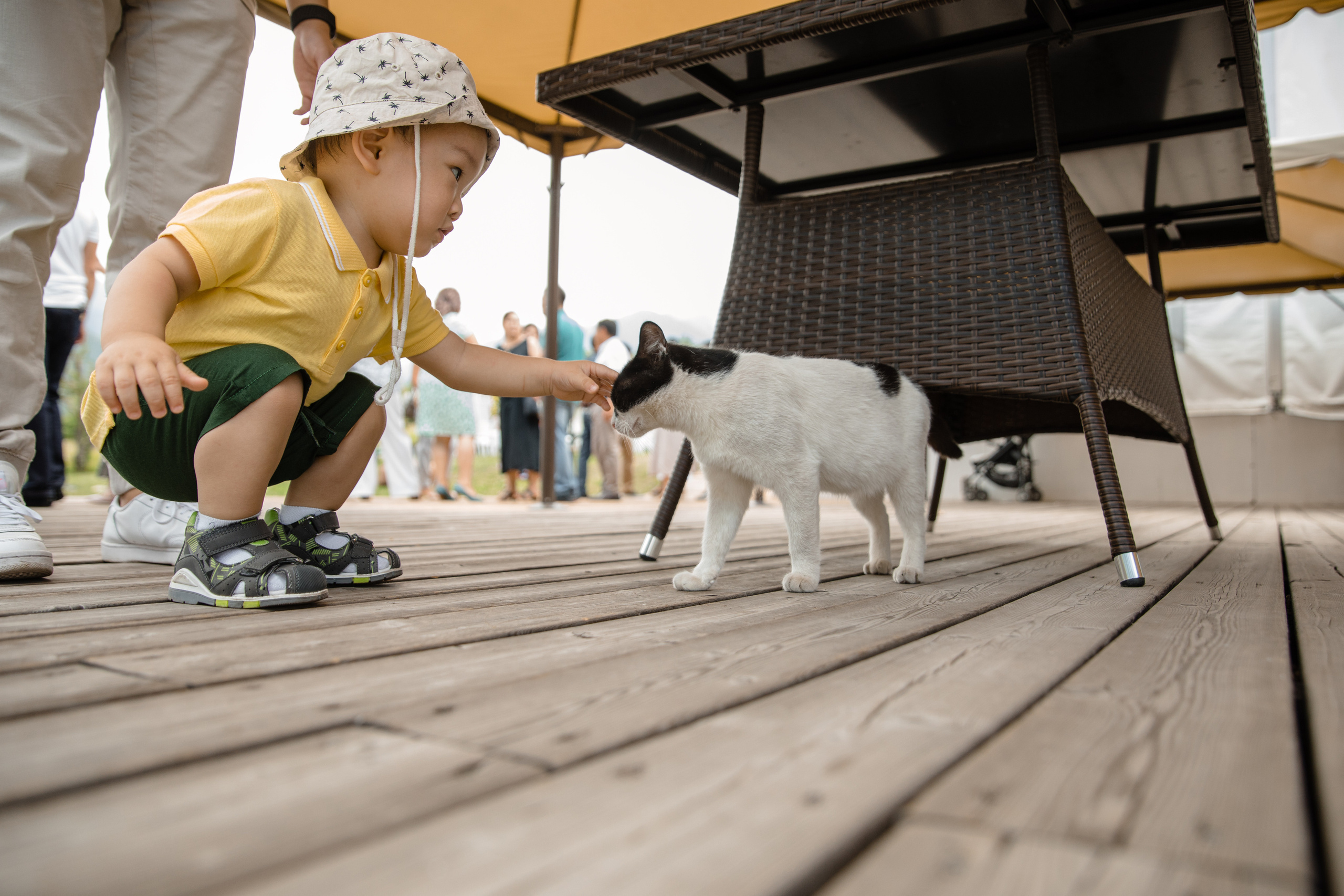 Анонс свадьбы Вячеслав и Анастасия. Свадебный фотограф в Алматы Николай Киреев