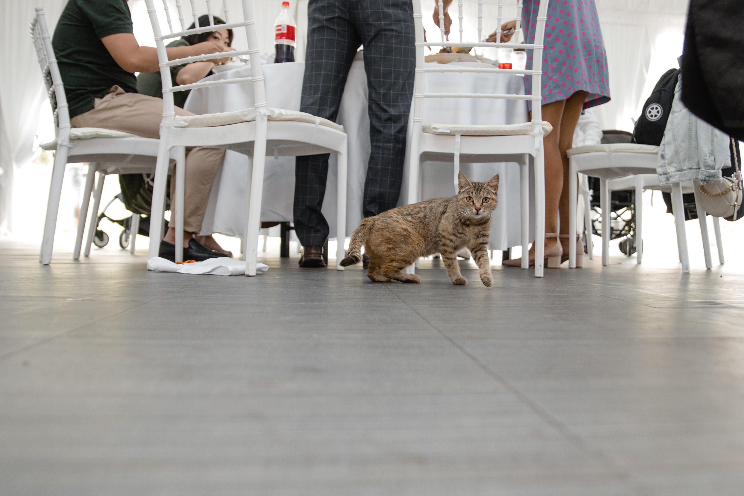 Анонс свадьбы Вячеслав и Анастасия. Свадебный фотограф в Алматы Николай Киреев