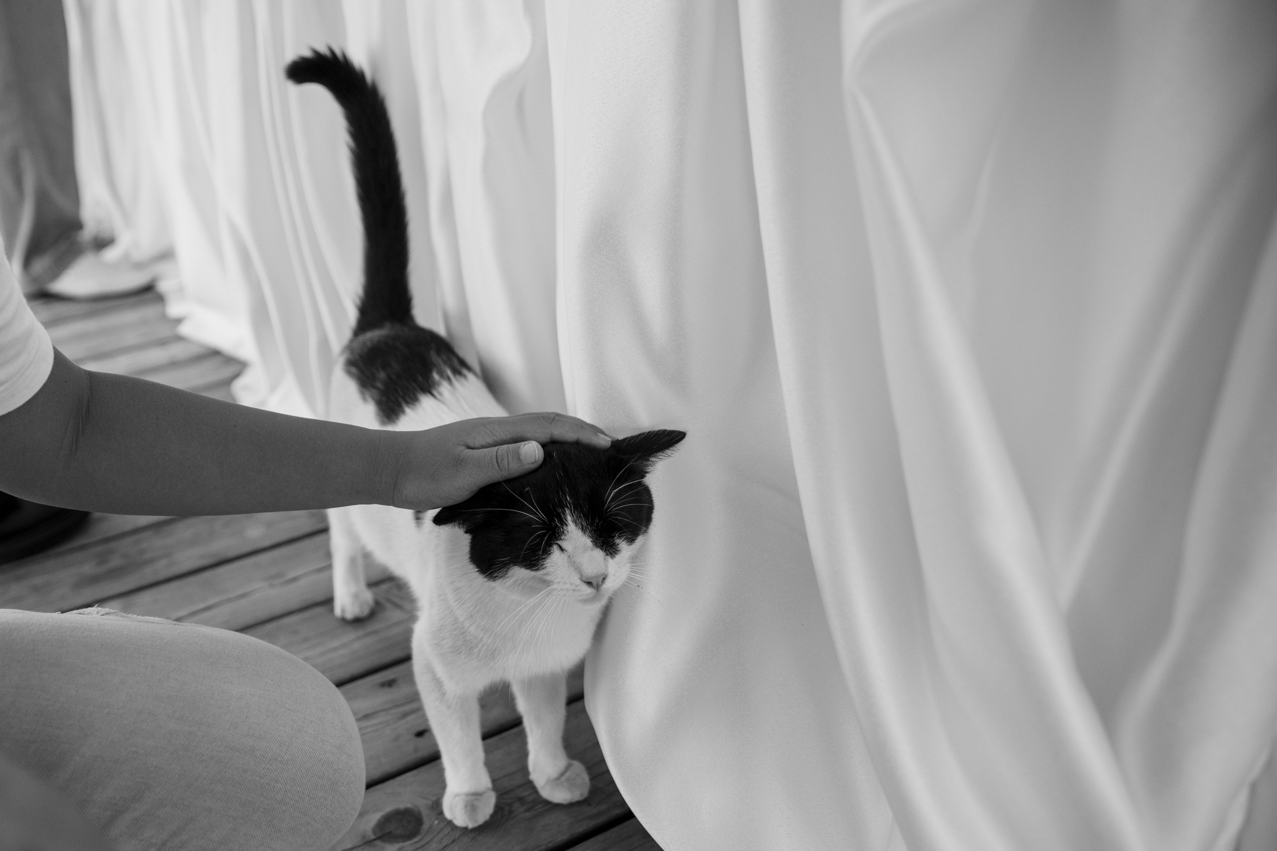 Анонс свадьбы Вячеслав и Анастасия. Свадебный фотограф в Алматы Николай Киреев