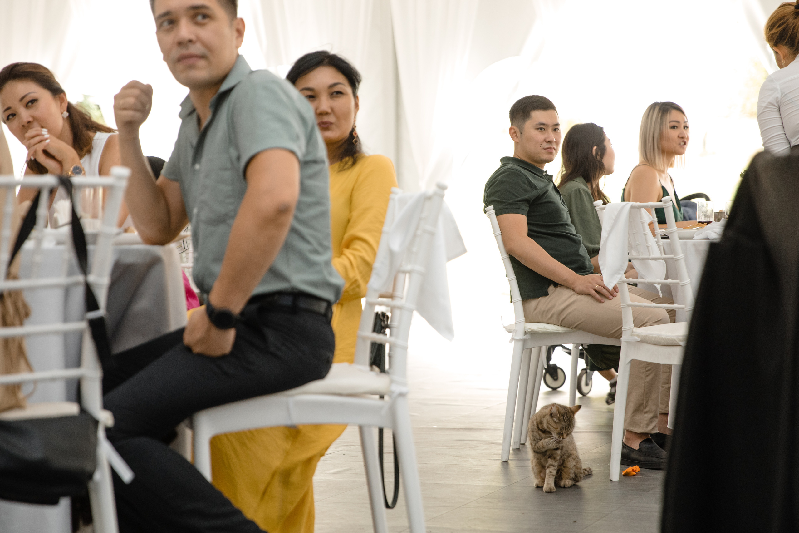 Анонс свадьбы Вячеслав и Анастасия. Свадебный фотограф в Алматы Николай Киреев