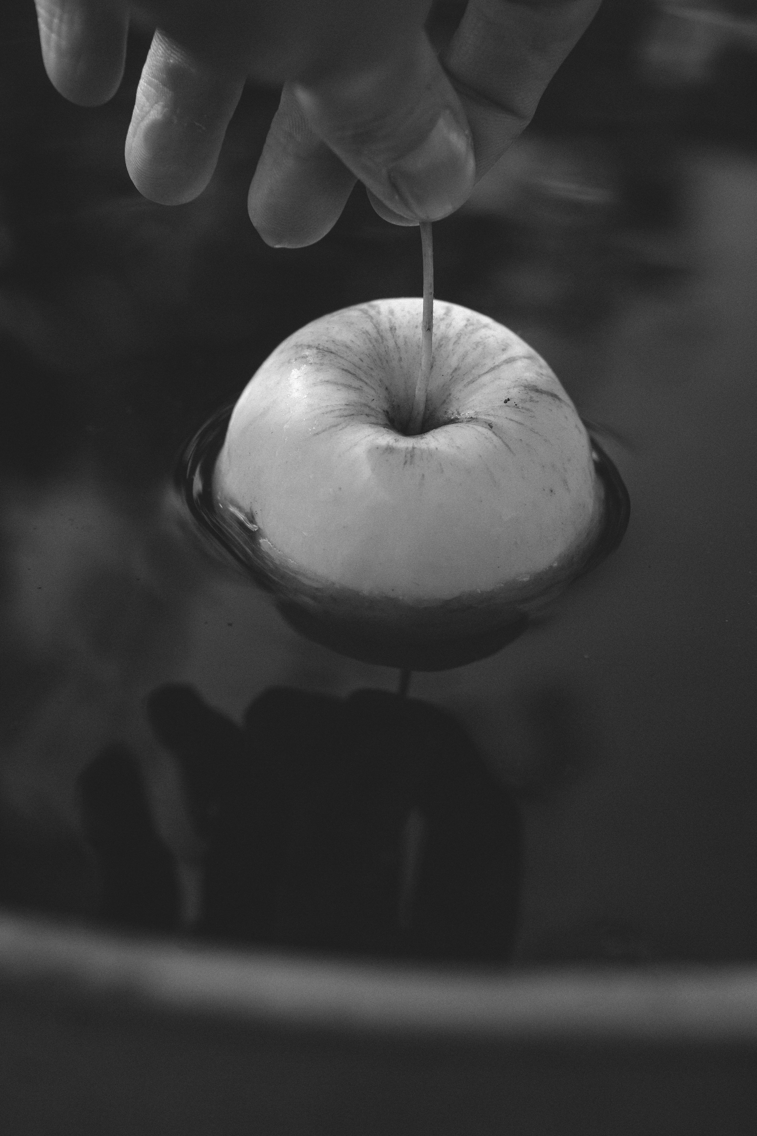 Жизнь сада. Works