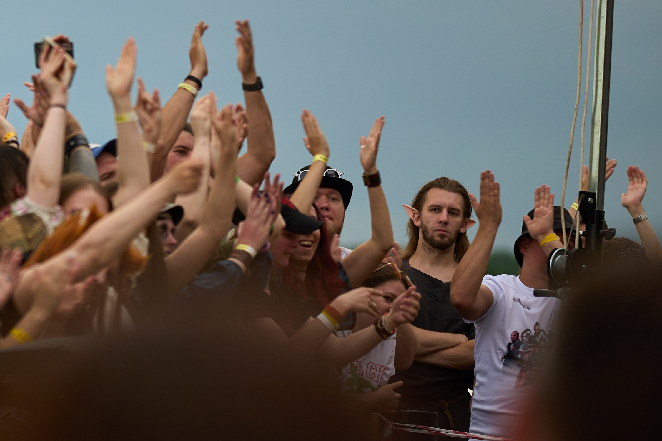 Такой суровый :) Воображение снизу рисует как минимум фавна, как максимум - кентавра.