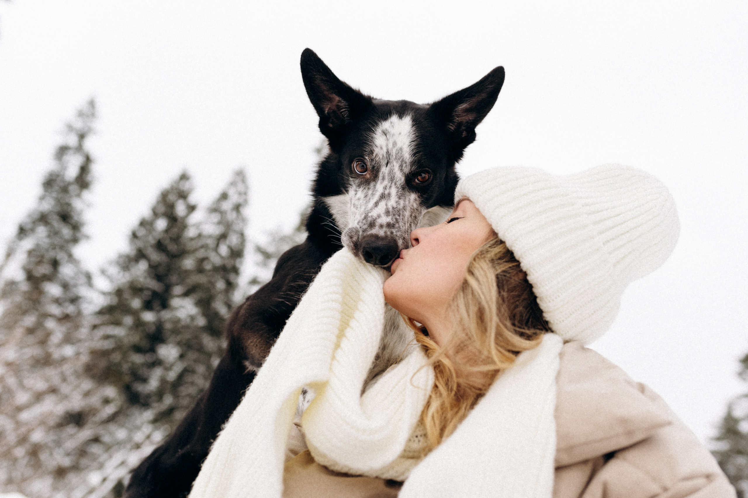 Аня и Милан. Фотограф анималист в Москве Ольга Агушева