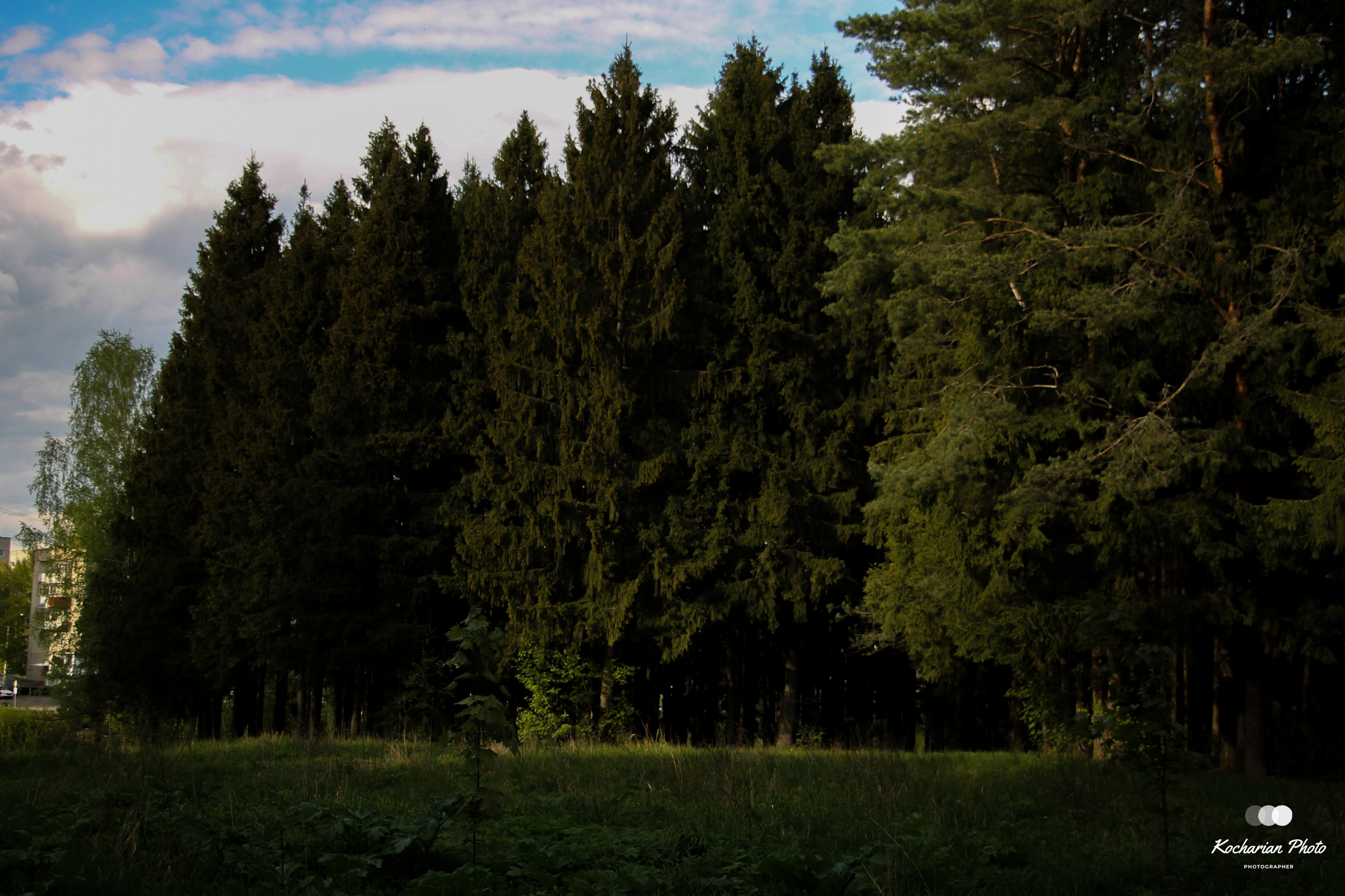 Пейзажи и природа. Photographer K.A.D