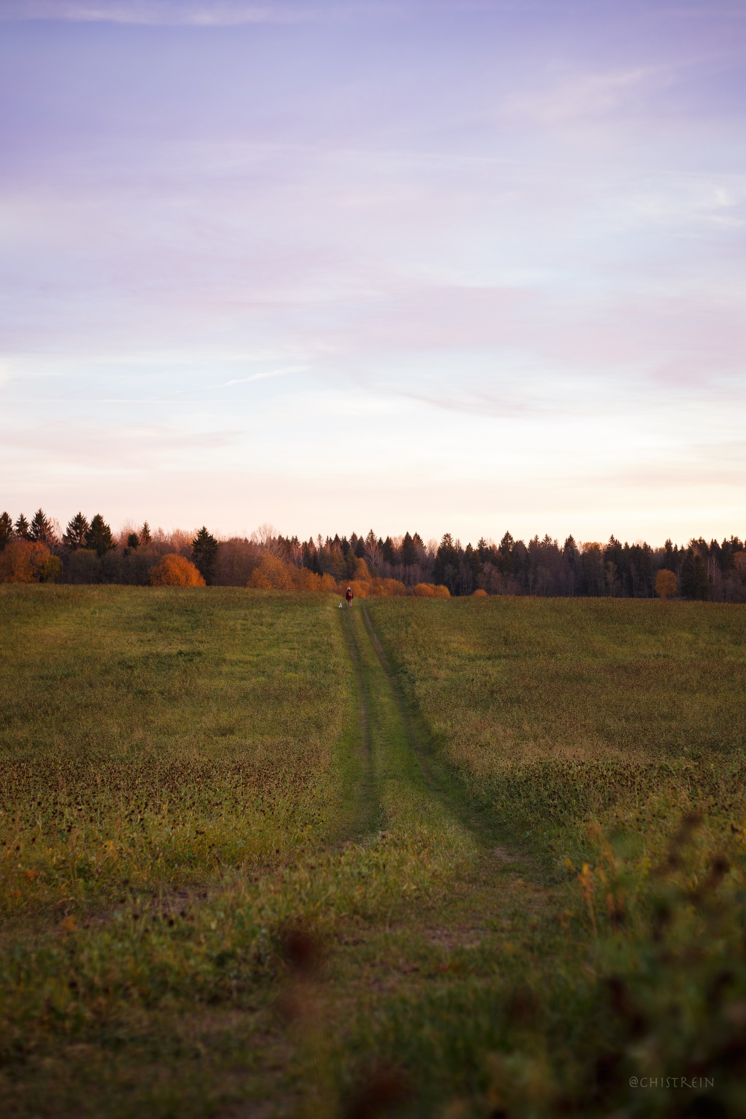 Октябрьский закат в полях. Алина и Лео. Фотограф-анималист Наталия Чистюхина в г. Сосновый Бор и ЛО