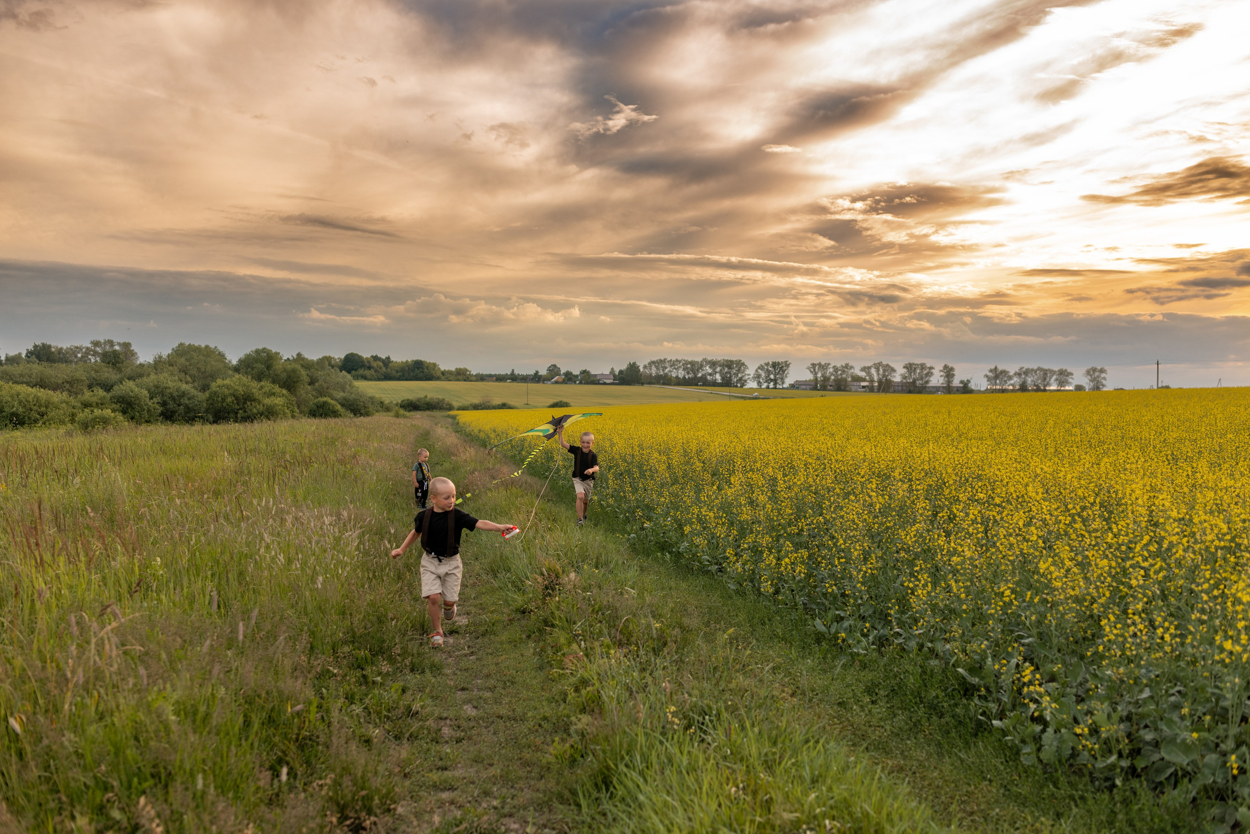 С воздушным змеем. Фотограф в Москве/Зарайске Шахова Марина
