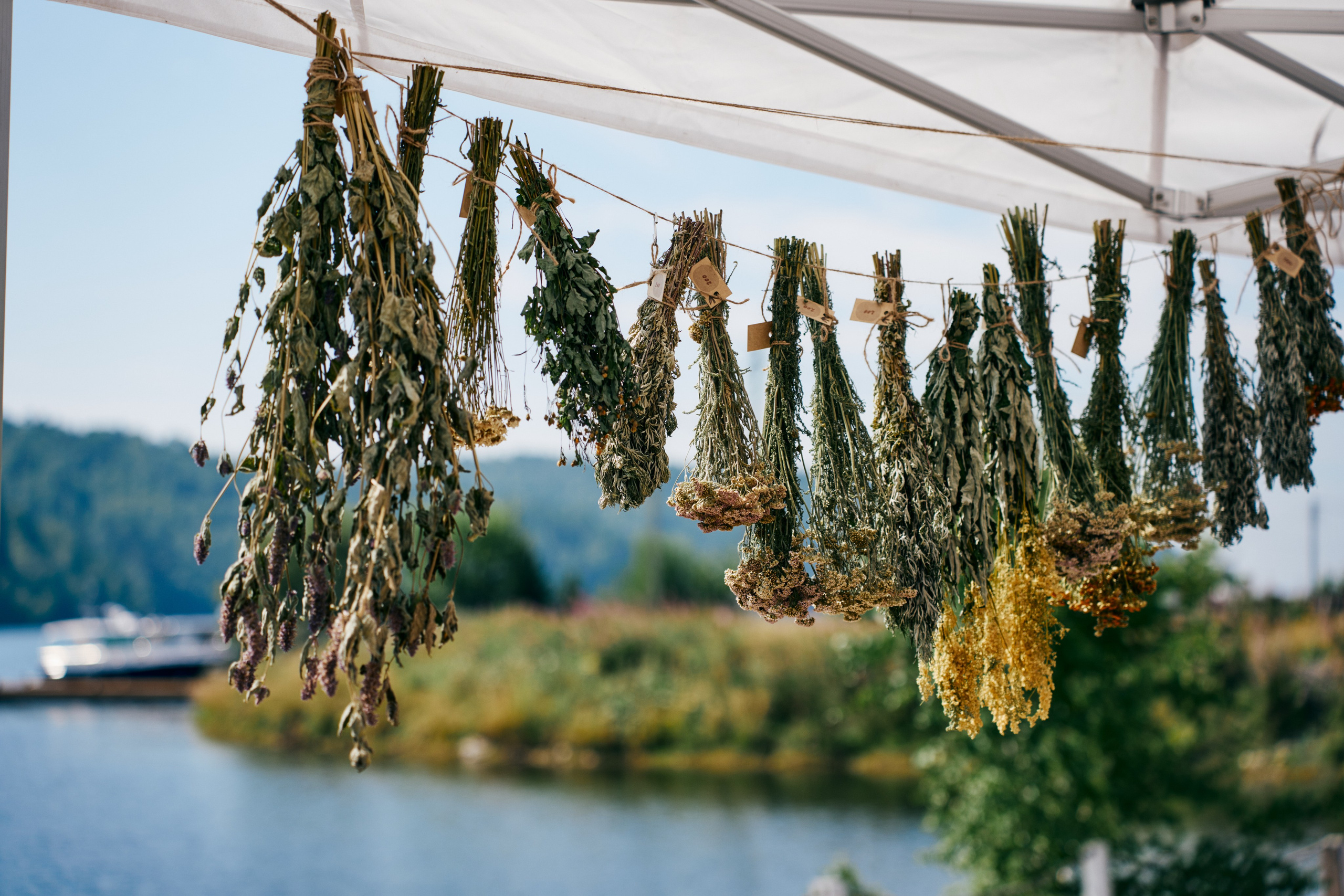 Репортажи. Фотограф Татьяна Ступина Иркутск