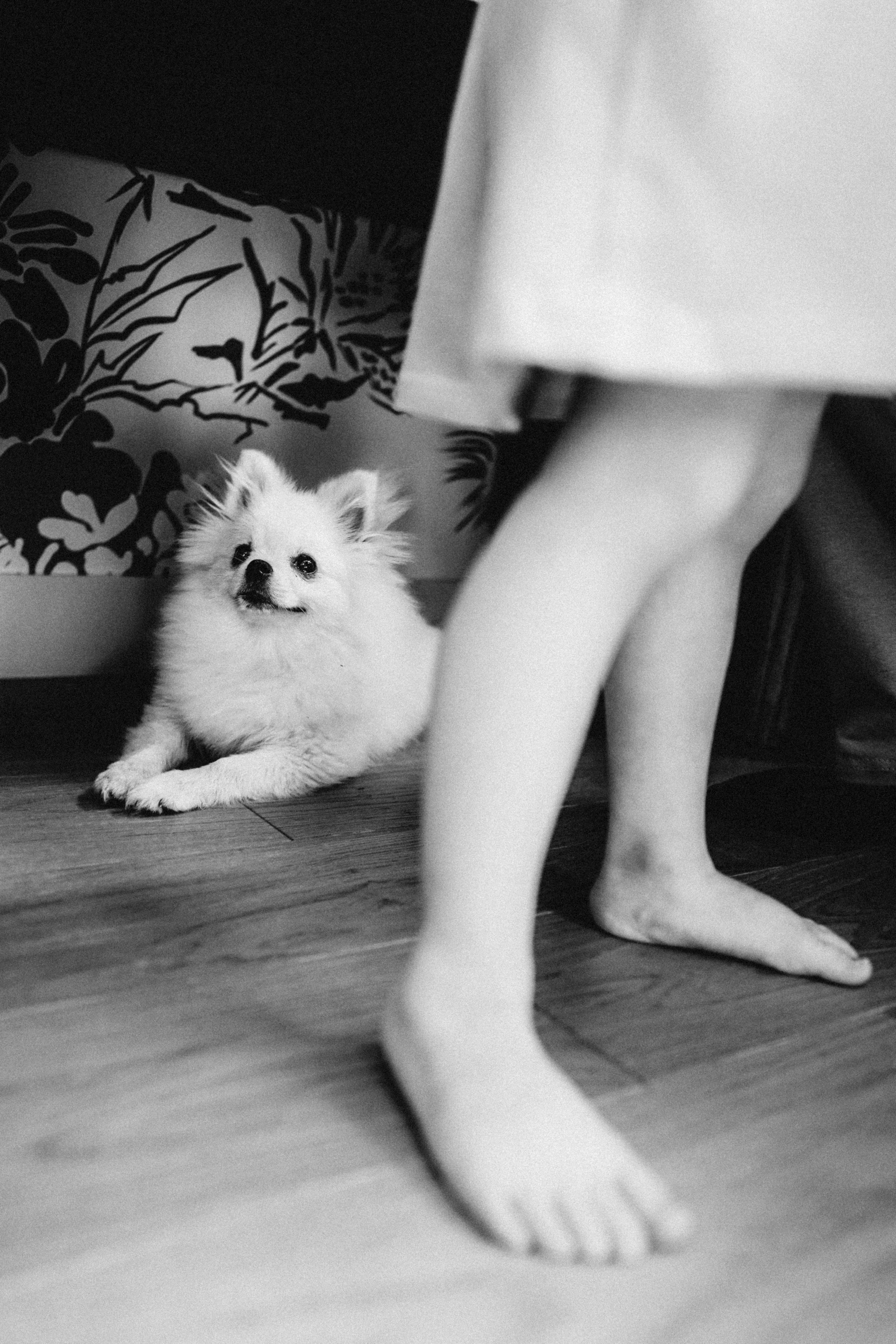 Василёк и летние платья. Ася Краснова