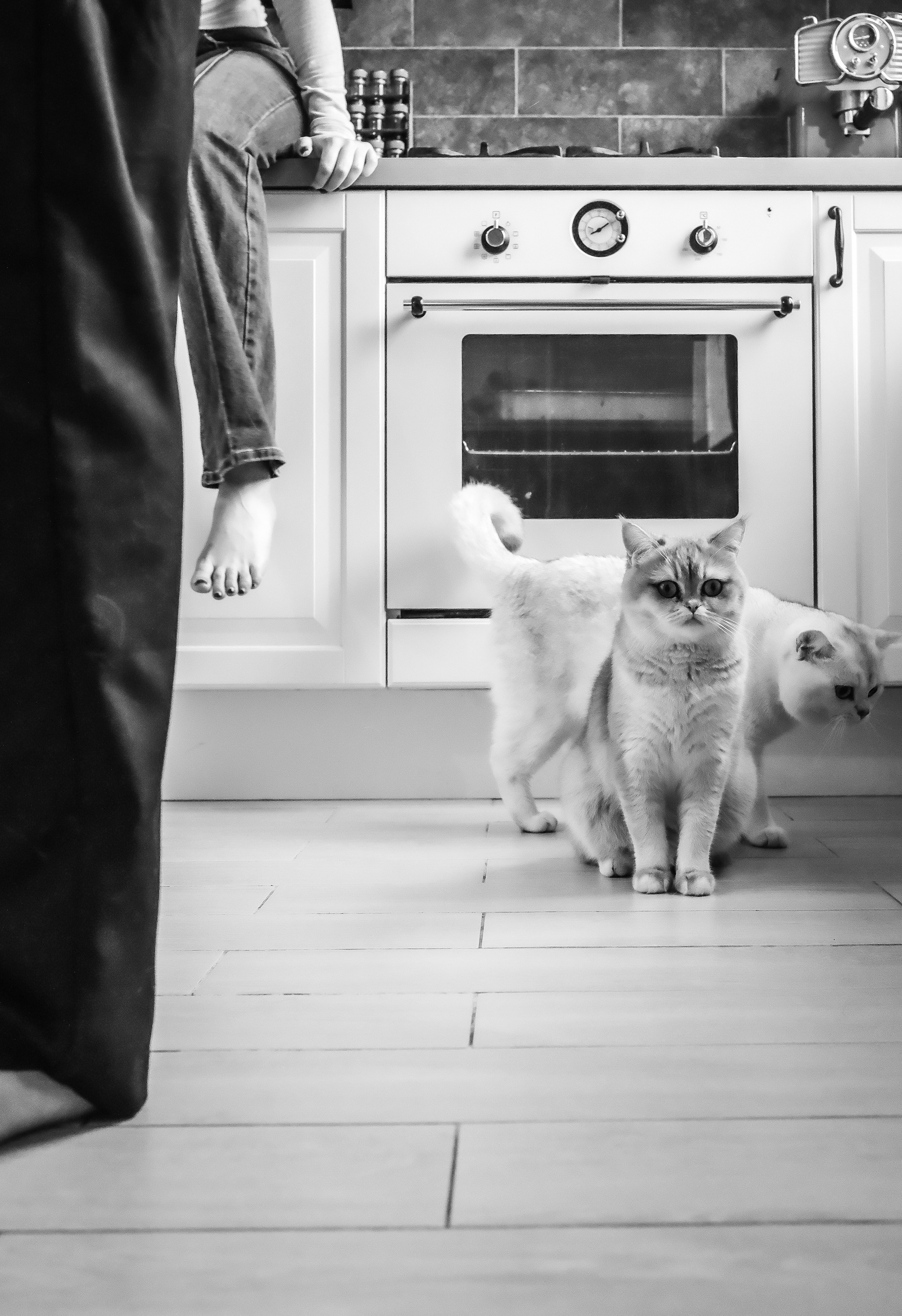 Двое. Свадебный и семейный фотограф Москва Варламова Виктория