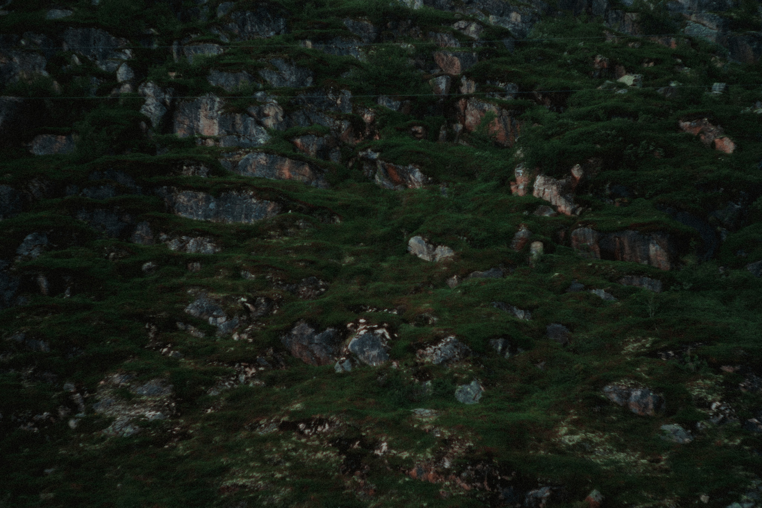Териберка, Мурманск. Фотосъёмка для компании по организации туров в коллаборации с Яндекс 360