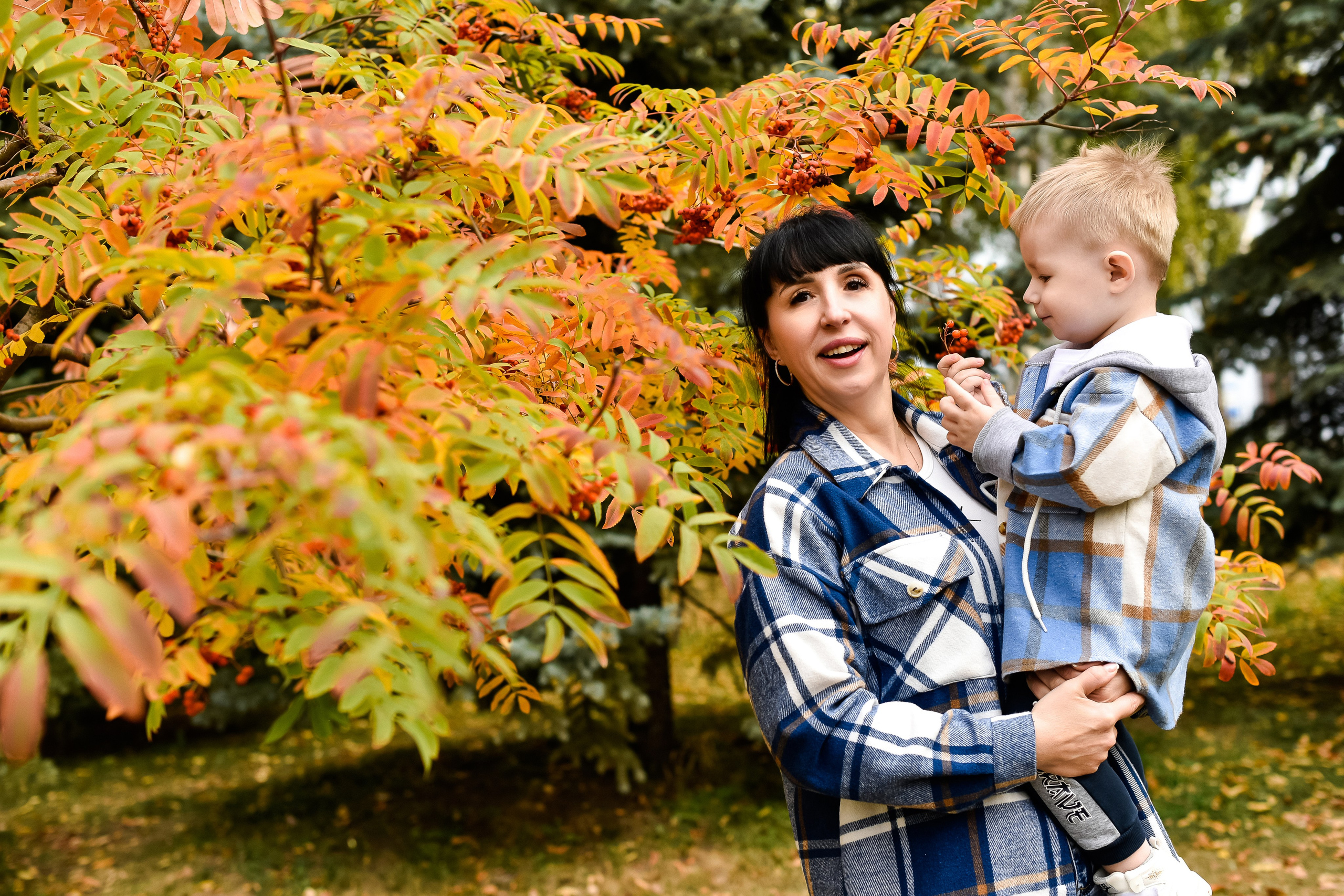 Семья Елены