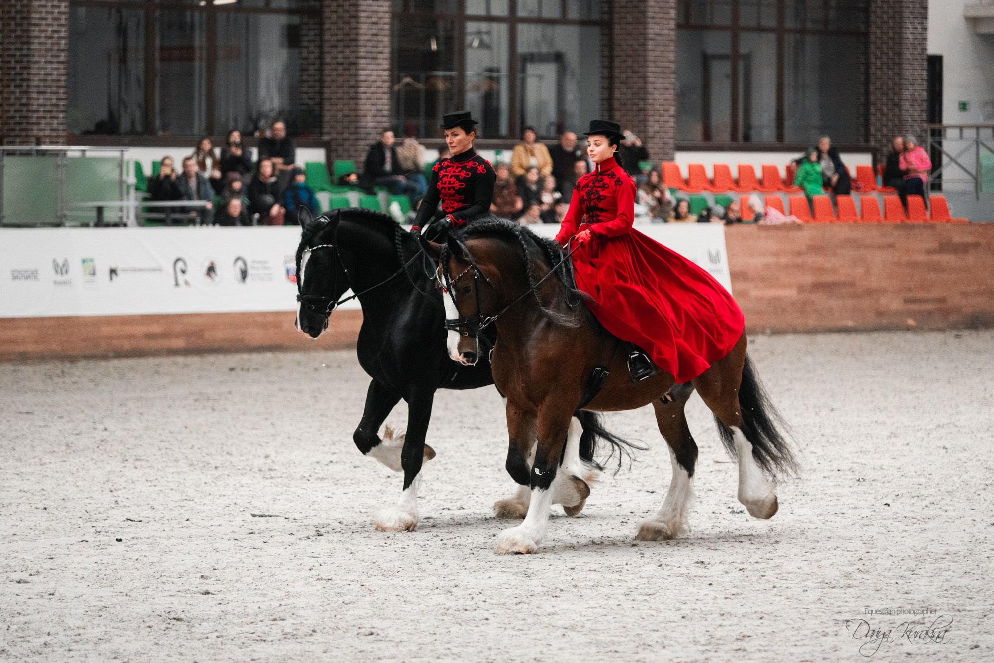 8-я международная выставка Конная Россия. Конный фотограф Куракина Дарья • Фотосессии с лошадьми