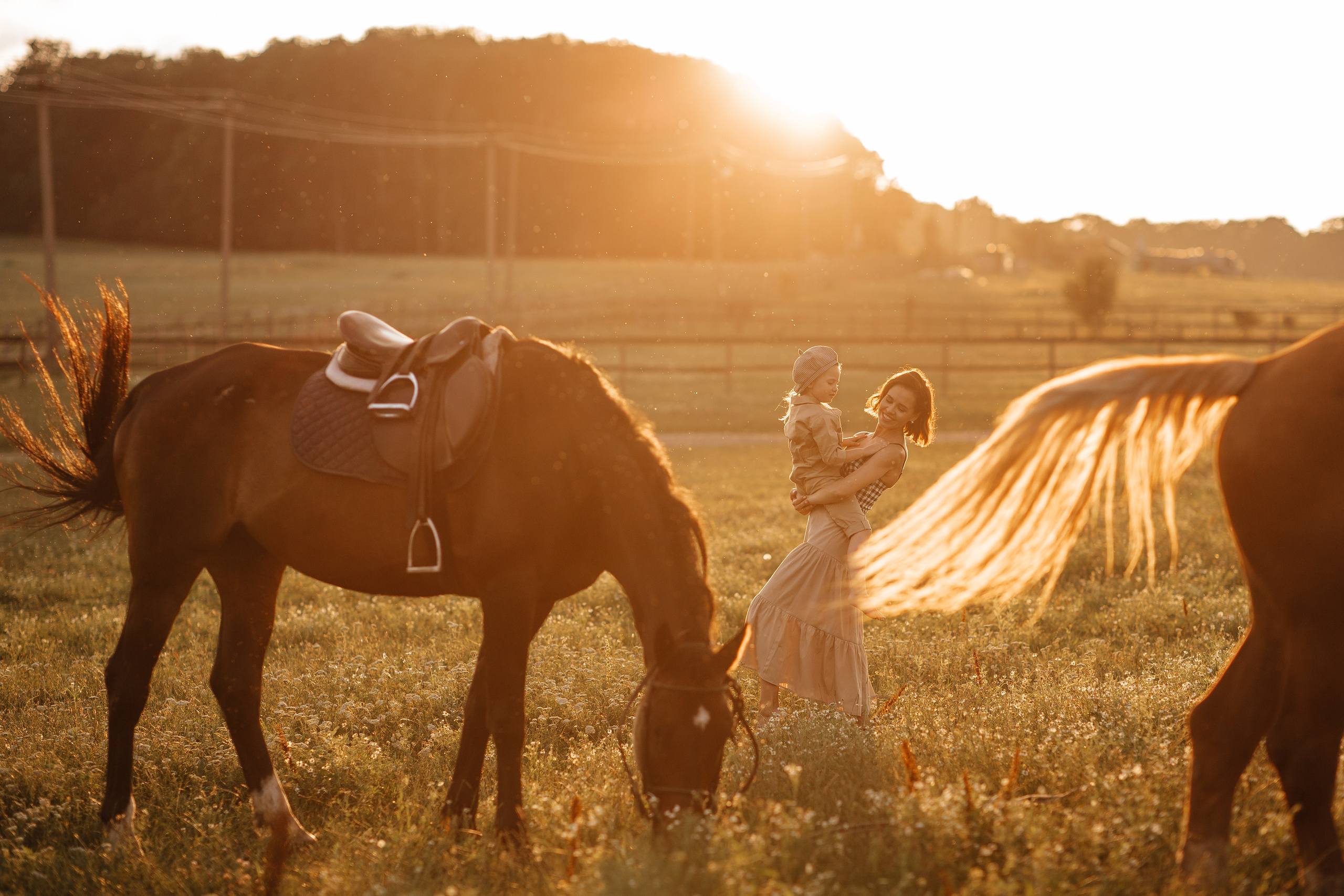 Horses. Семейный фотограф в Краснодаре Нина Курнявко