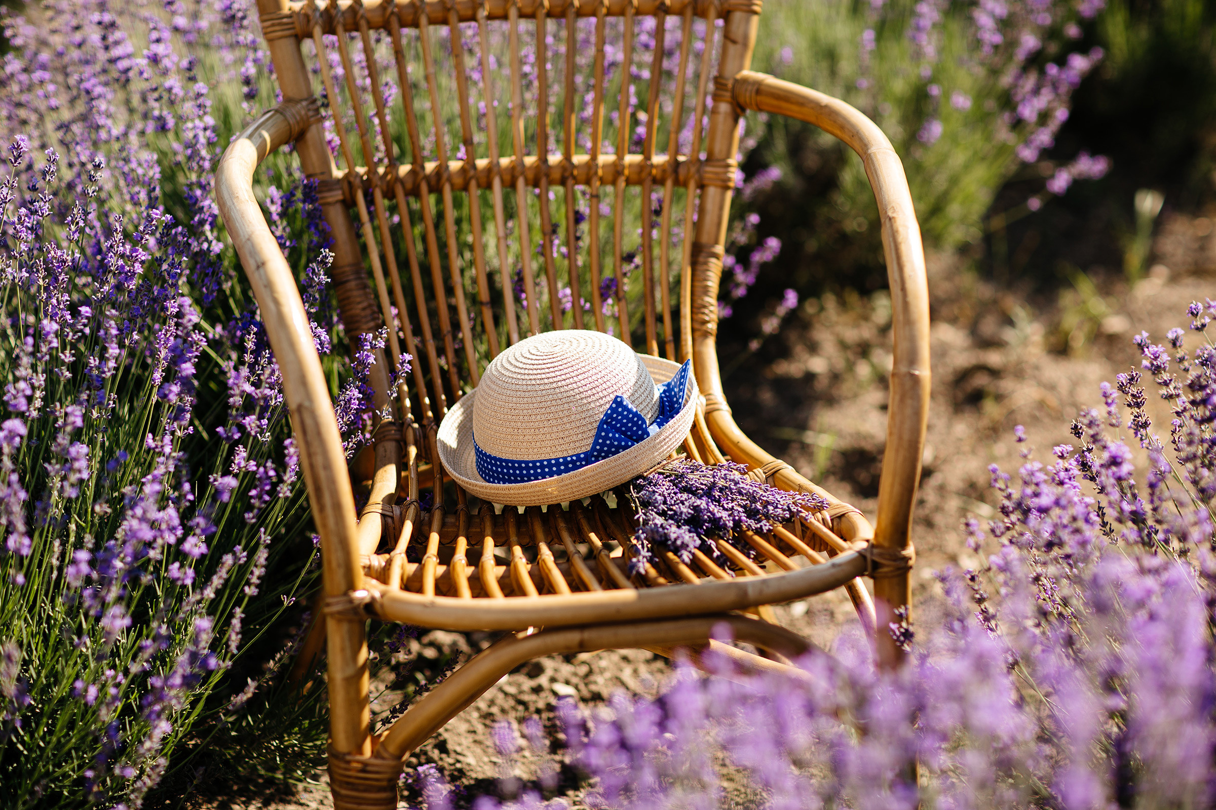 Lavanda. Семейный фотограф в Краснодаре Нина Курнявко