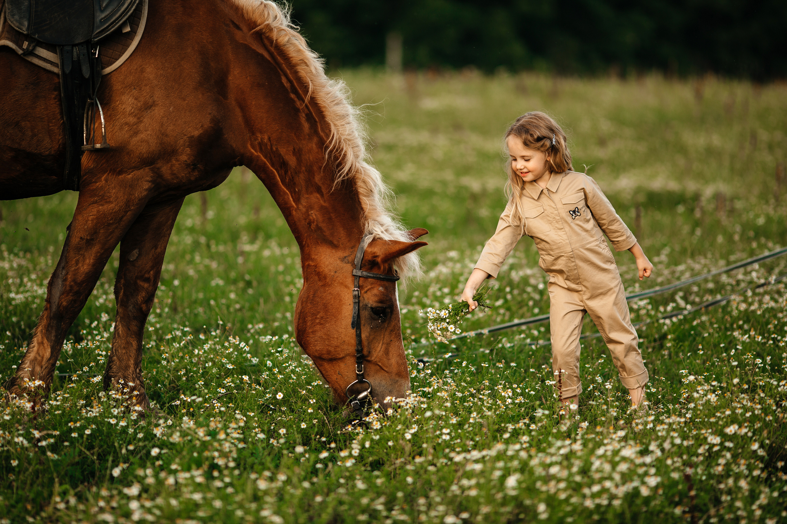 Horses. Семейный фотограф в Краснодаре Нина Курнявко
